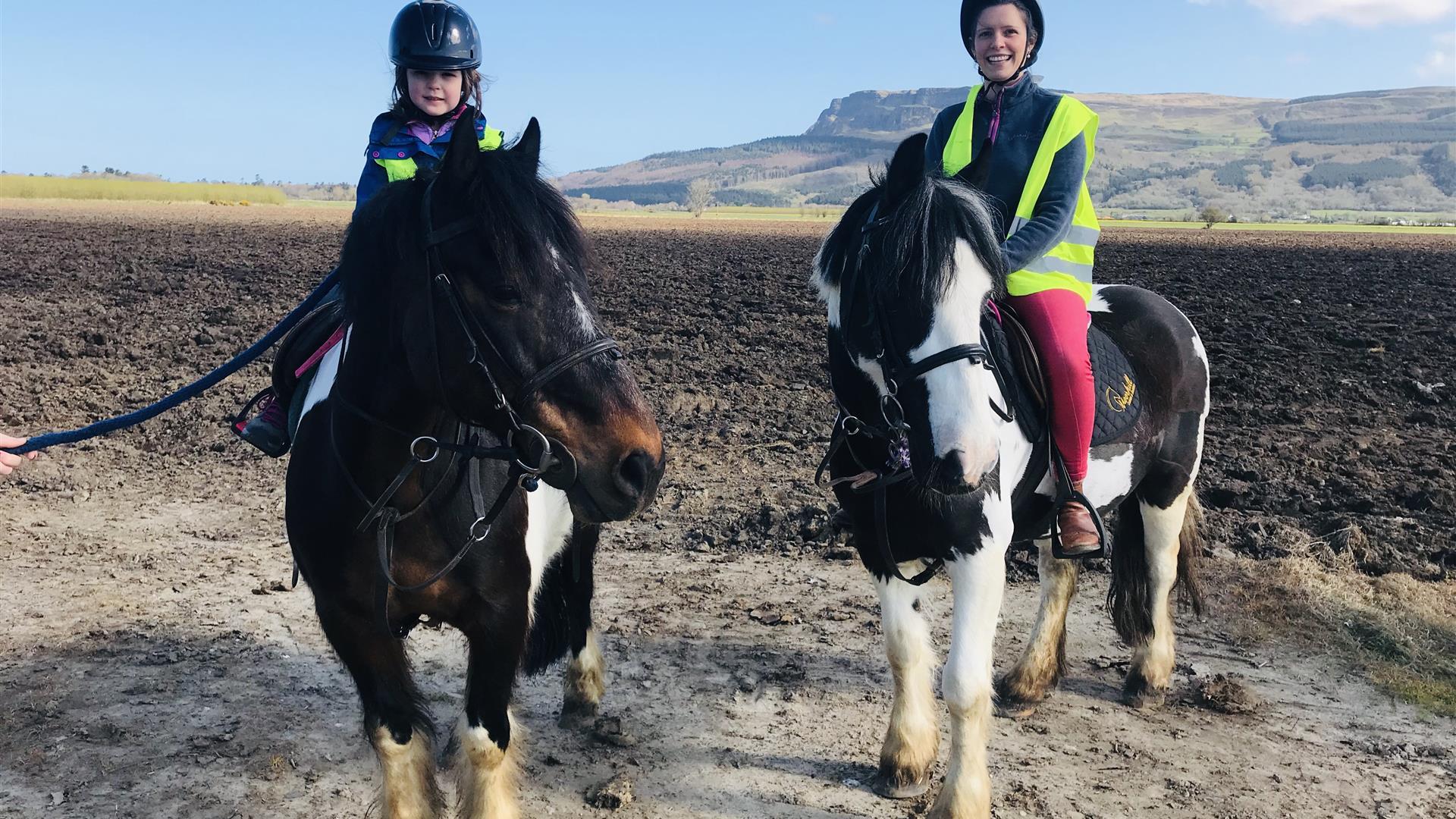 Crindle Stables Limavady Discover Northern Ireland