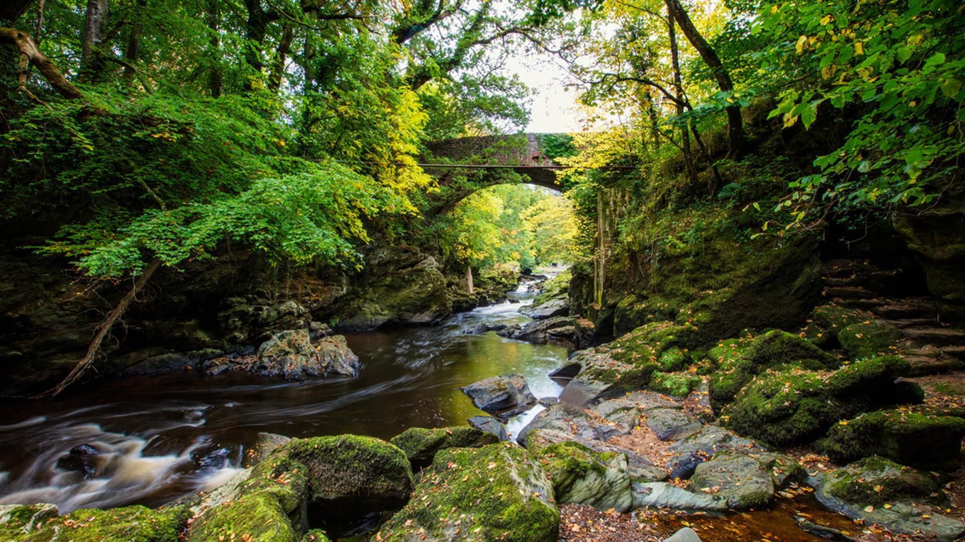 Roe Valley Country Park - Limavady - Discover Northern Ireland