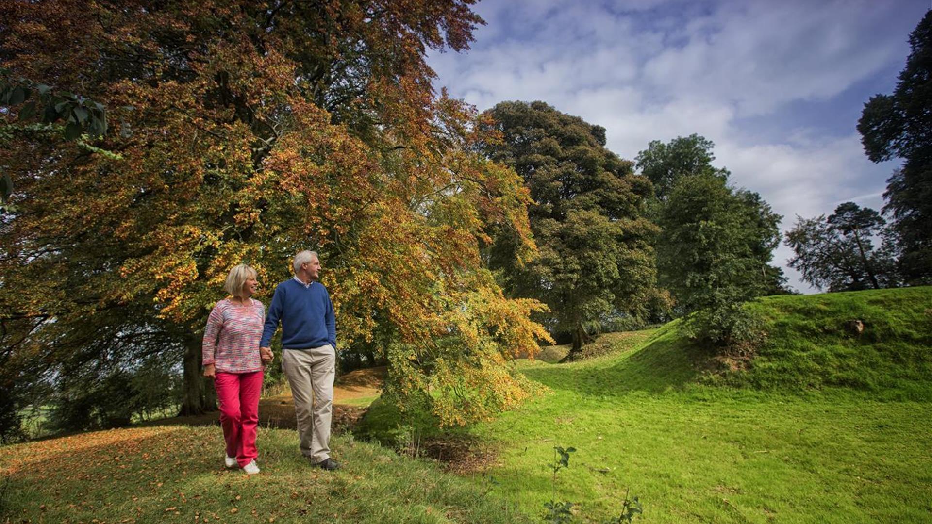 Image of a couple looking over to the fort