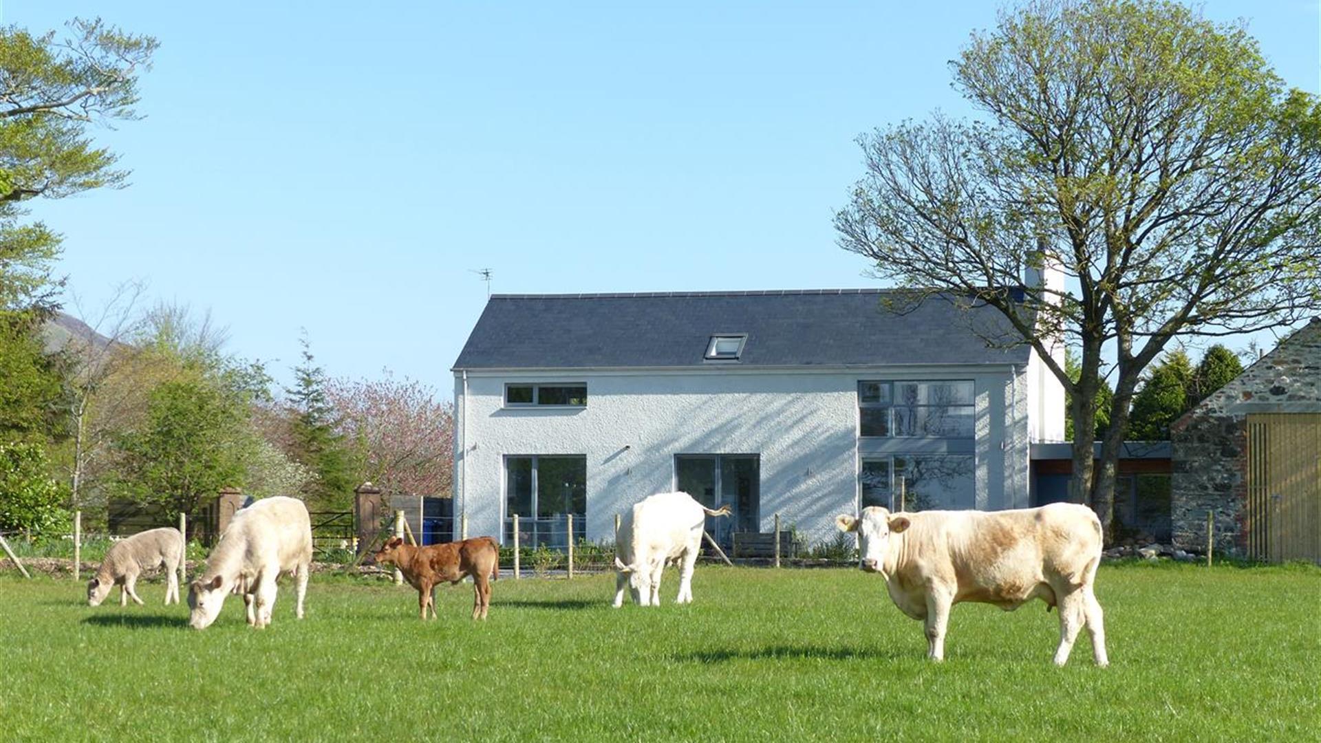 exterior of Barn Lane at Drumagosker