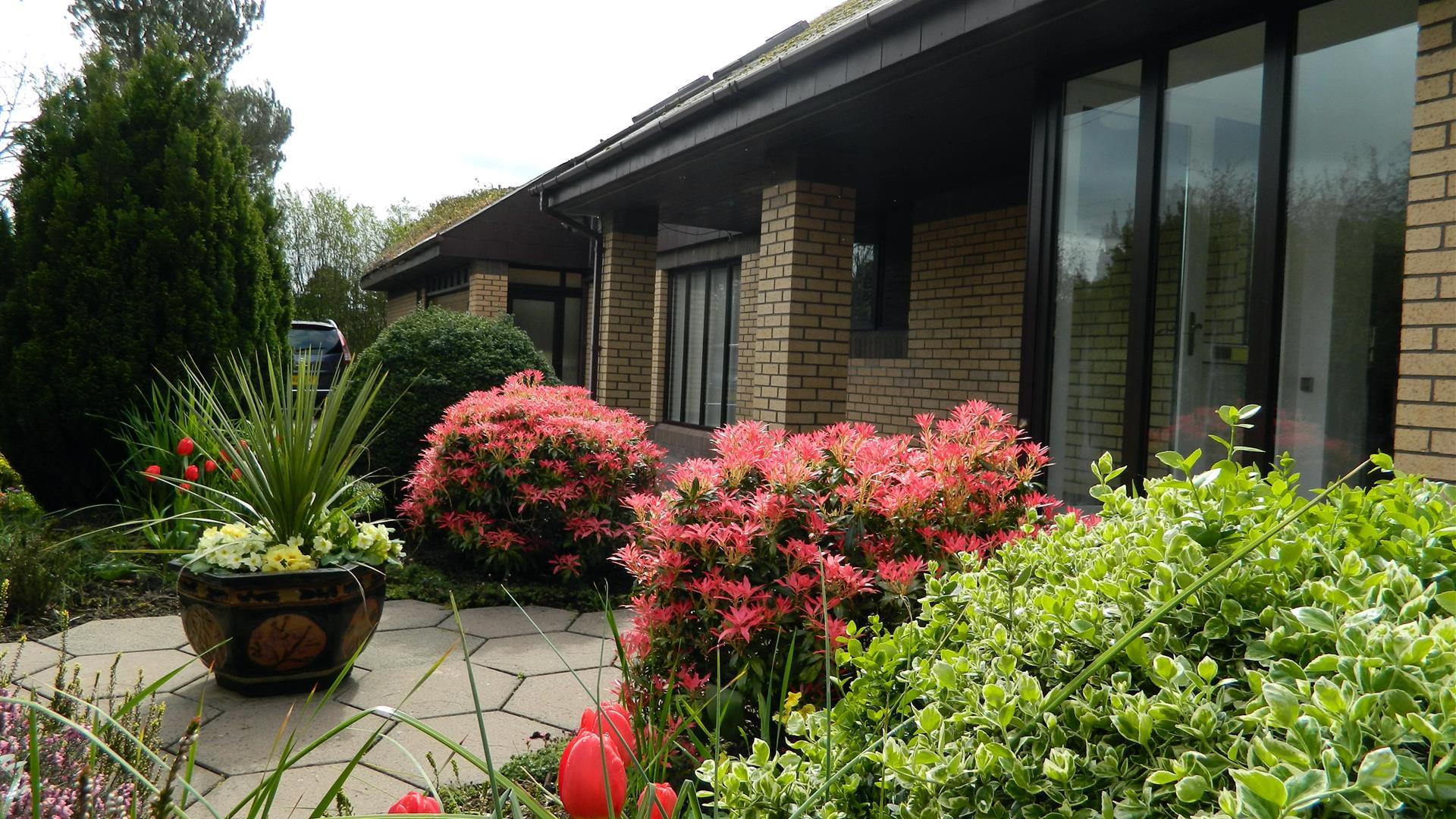 Front garden filled with decorative plants.