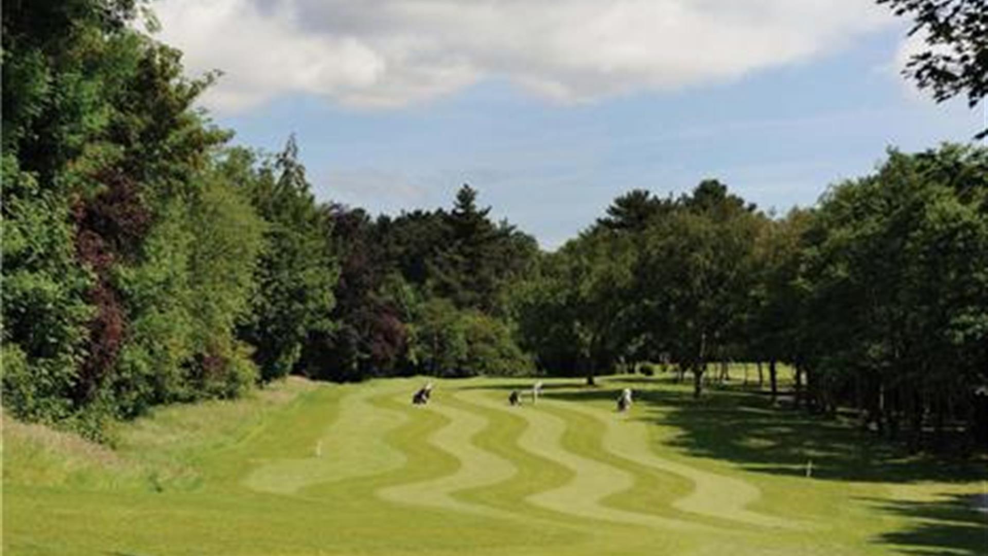 Image is of a golf course with players in the distance