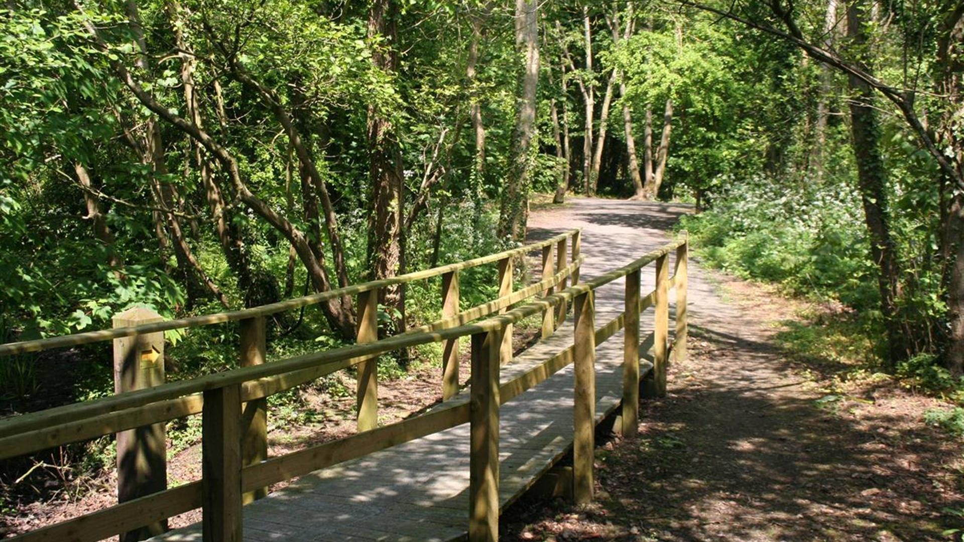 Ballyronan Marina & Caravan Park Magherafelt Discover Northern Ireland