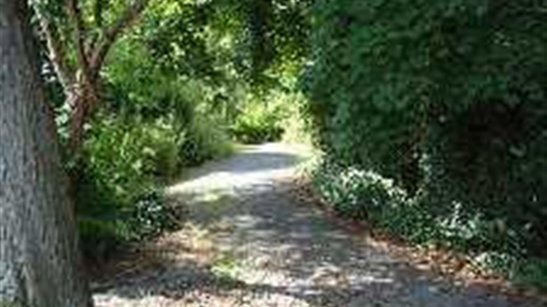 Stricklands Glen Bangor Discover Northern Ireland