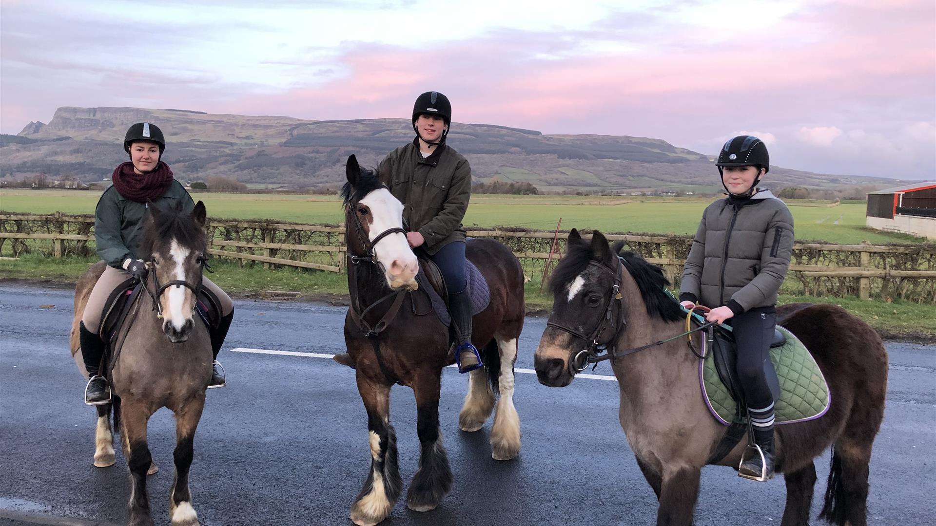 Crindle Stables Limavady Discover Northern Ireland