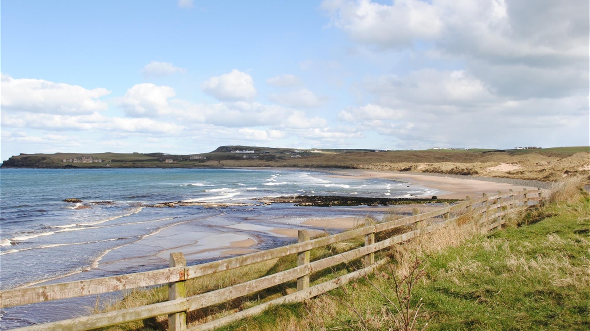 Portballintrae Causeway Loop