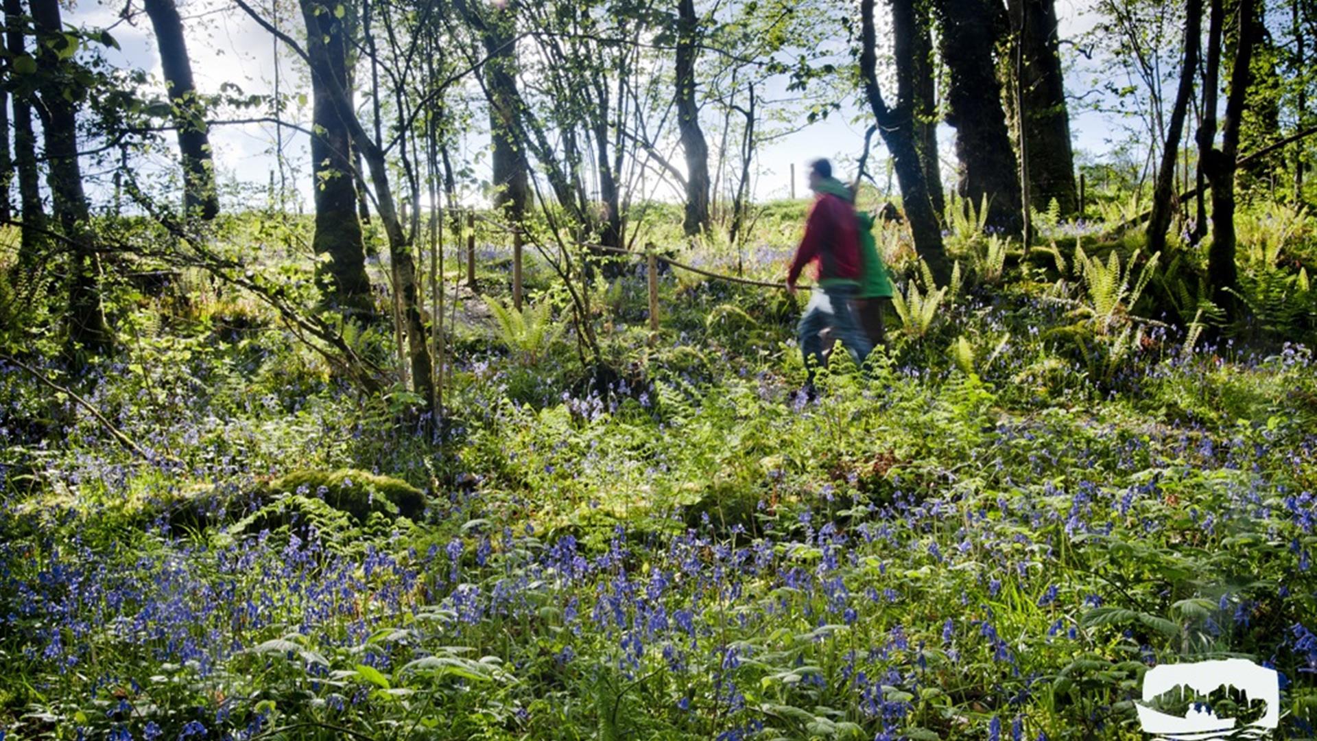 Cladagh Glen Walk