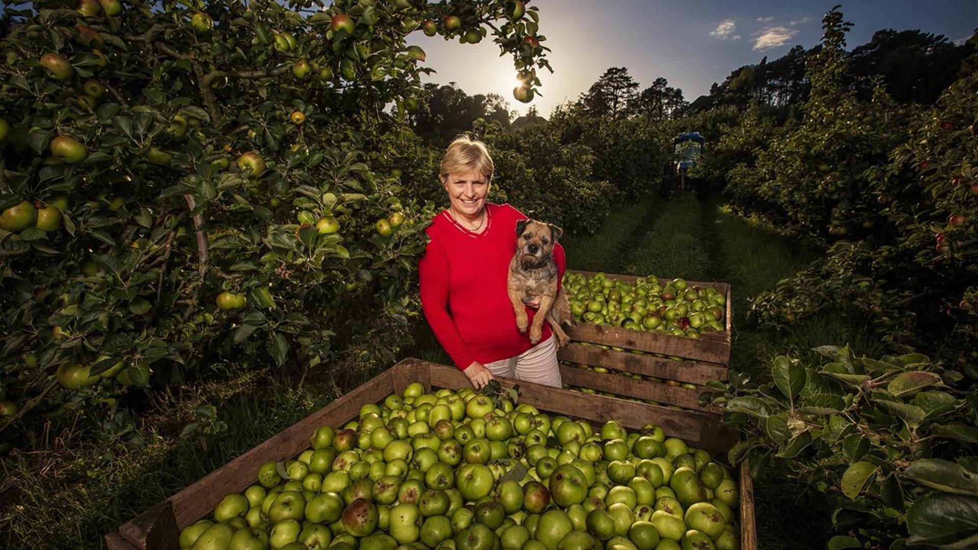 Armagh Apple Farm