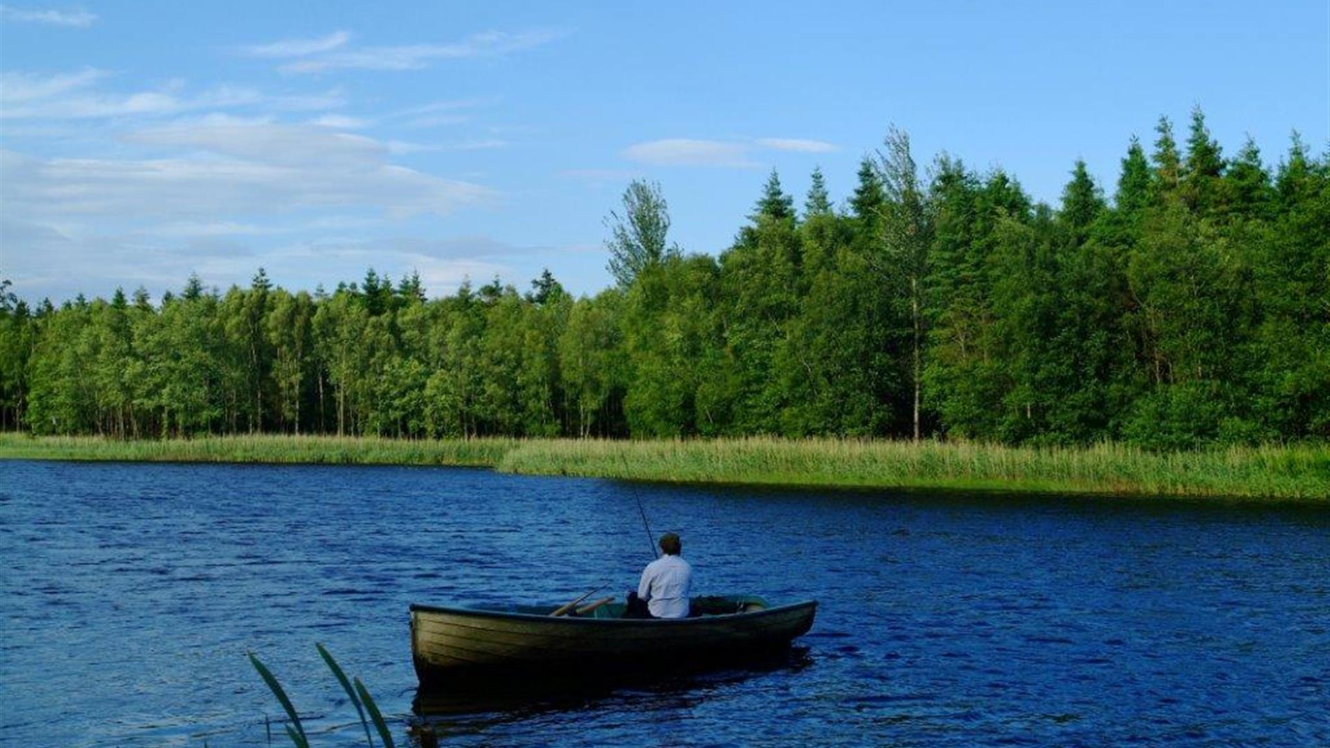 Coarse Angling Lough Catherine