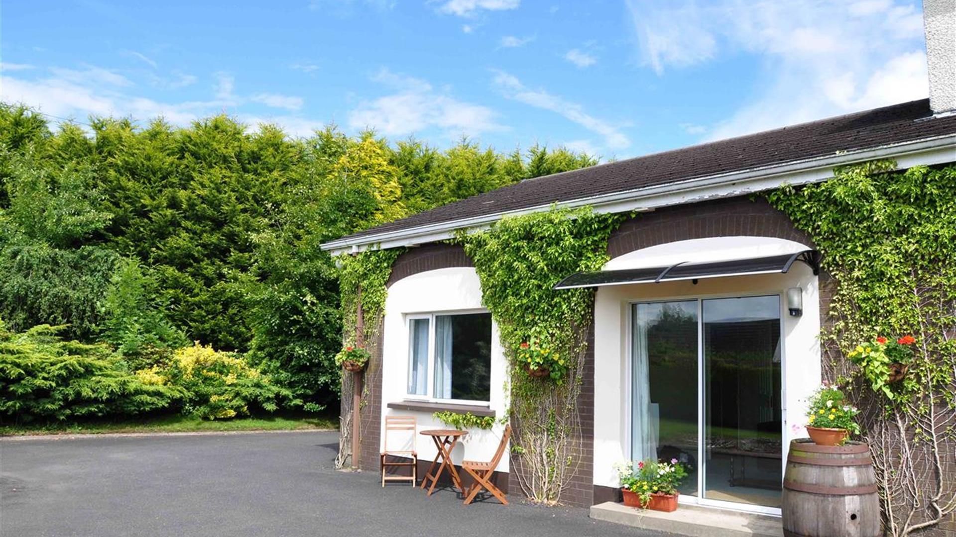 A large green hedge behind a bungalow with climbing vines up the side