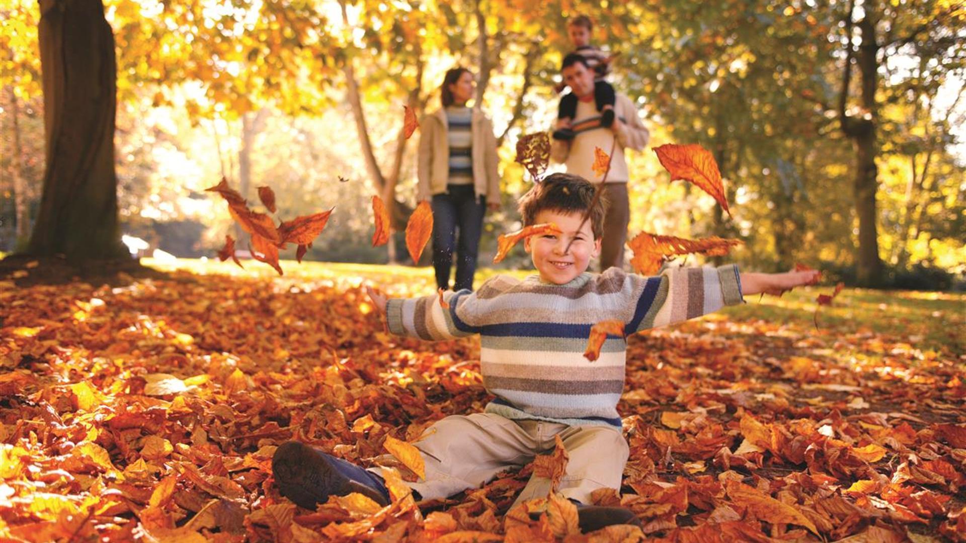 Sir Thomas and Lady Dixon Park - Belfast - Discover Northern Ireland