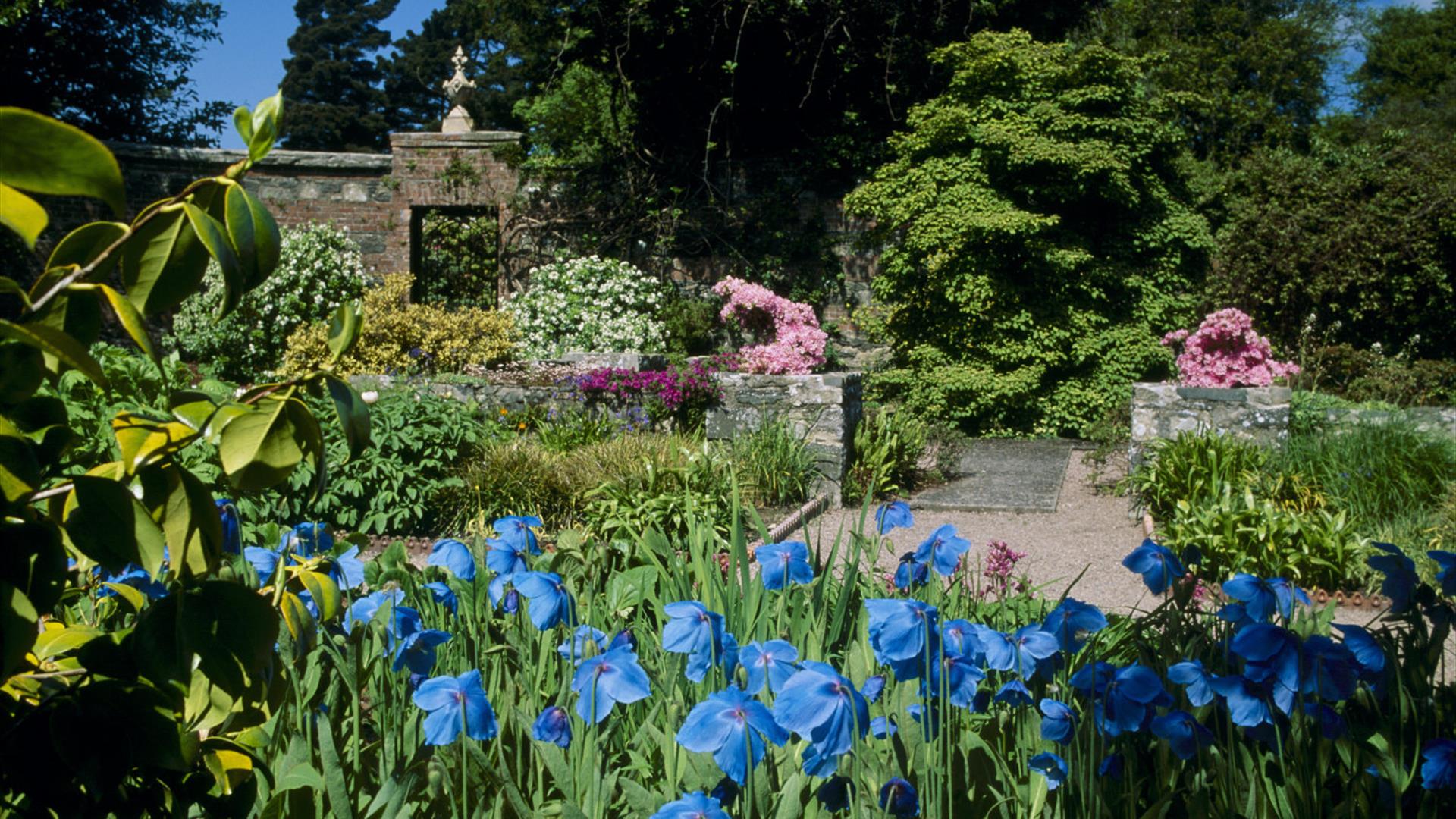 Rowallane Garden, Saintfield