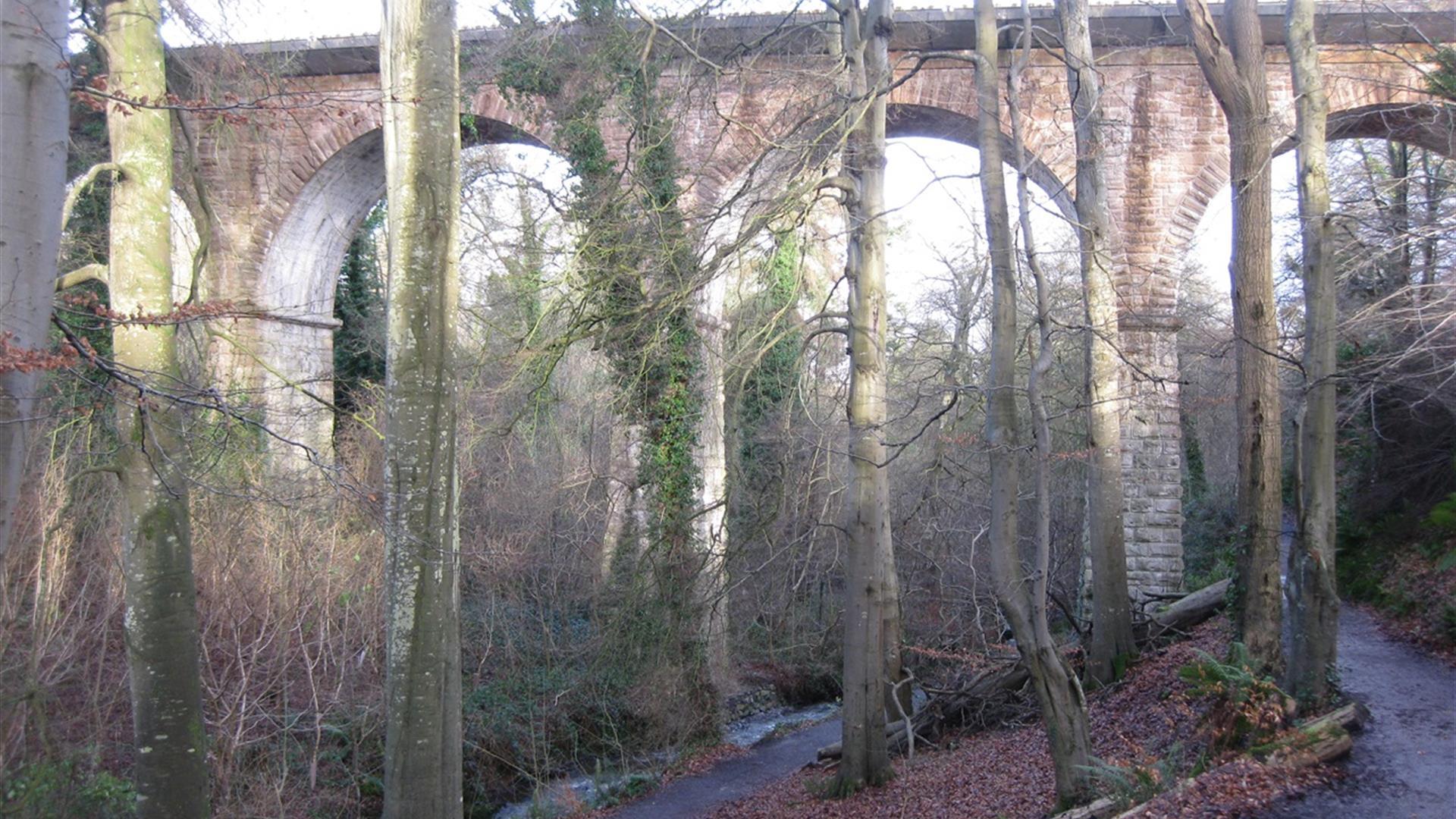 Crawfordsburn Country Park, Glen Walk