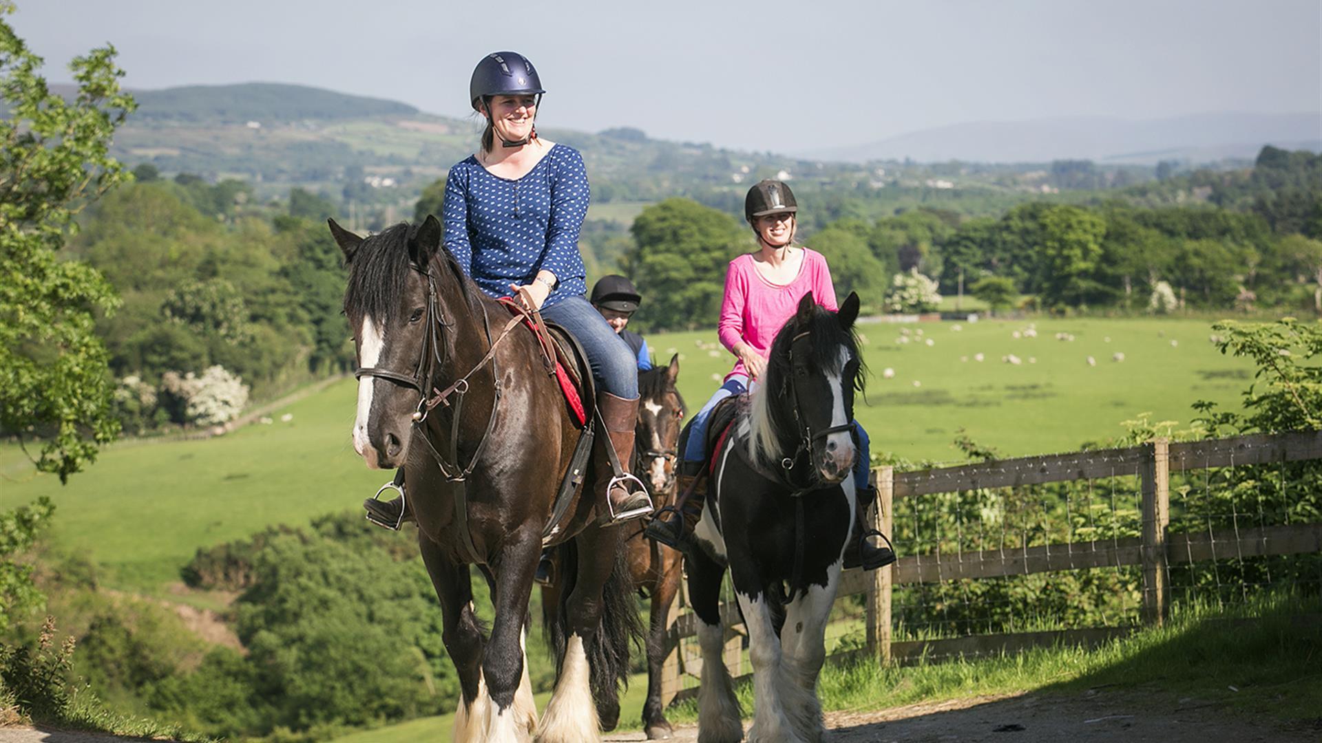 City Of Derry Equestrian Centre Ardmore Discover Northern Ireland