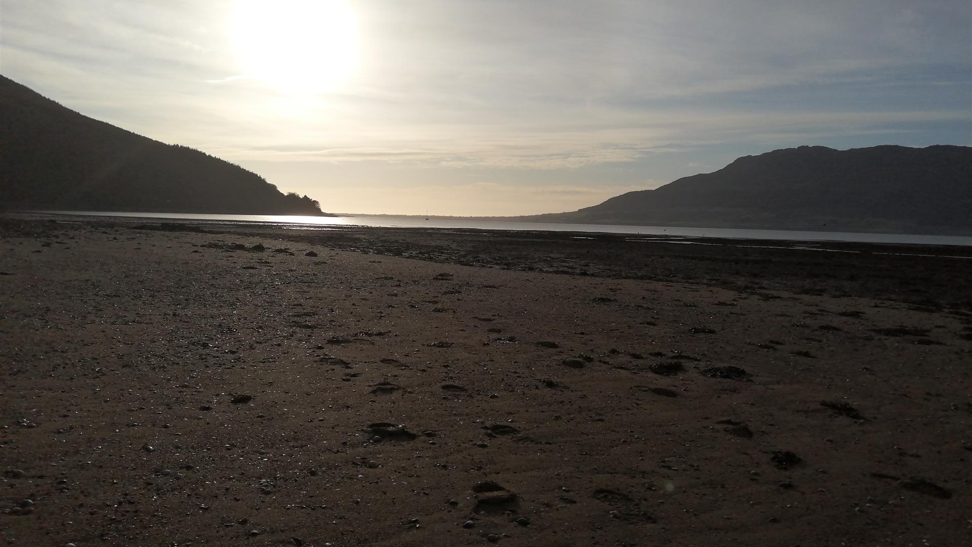 The Oystercatcher