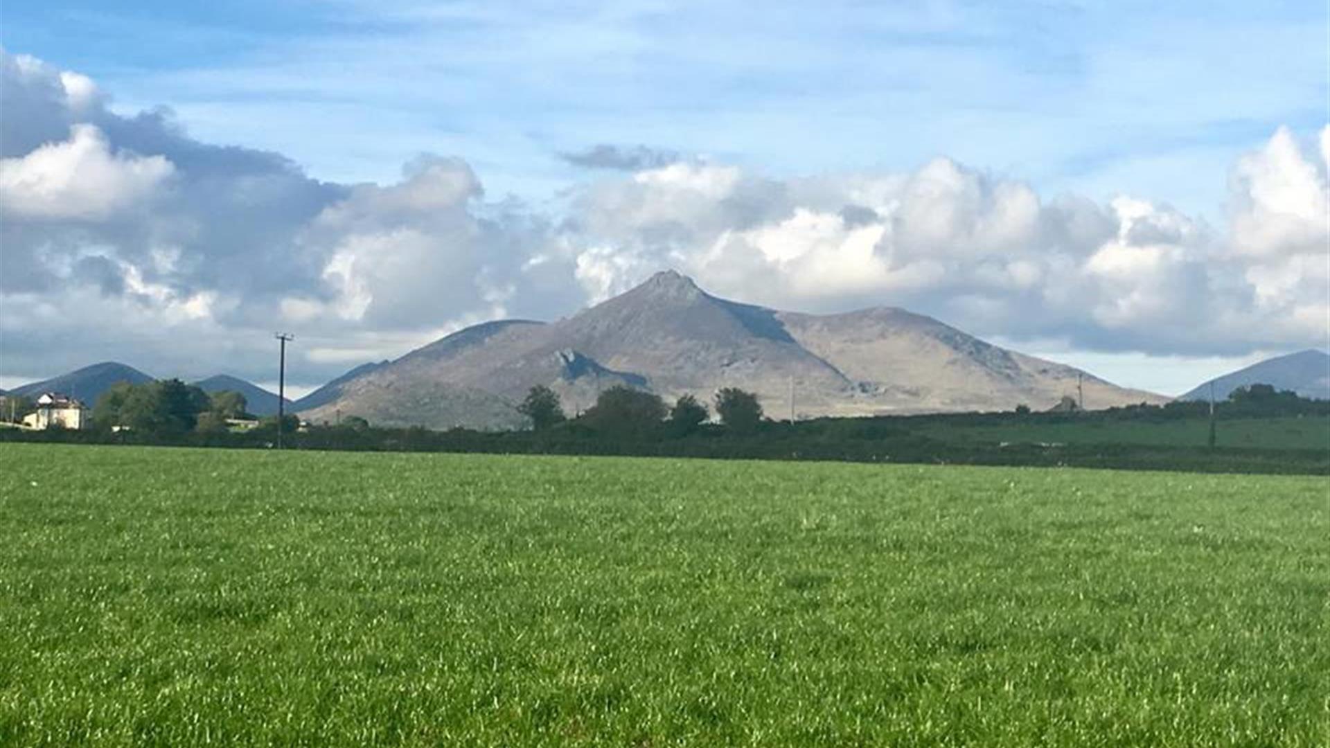 The Green Holiday Cottages - The Granary