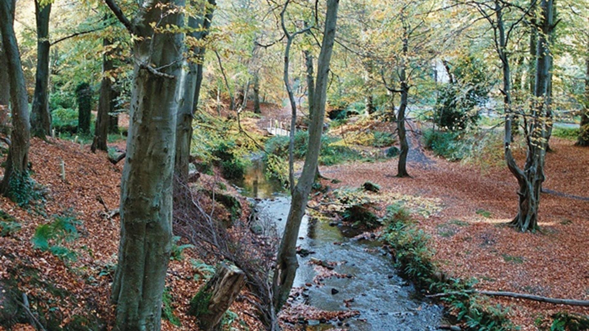 Crawfordsburn Country Park, Meadow Walk