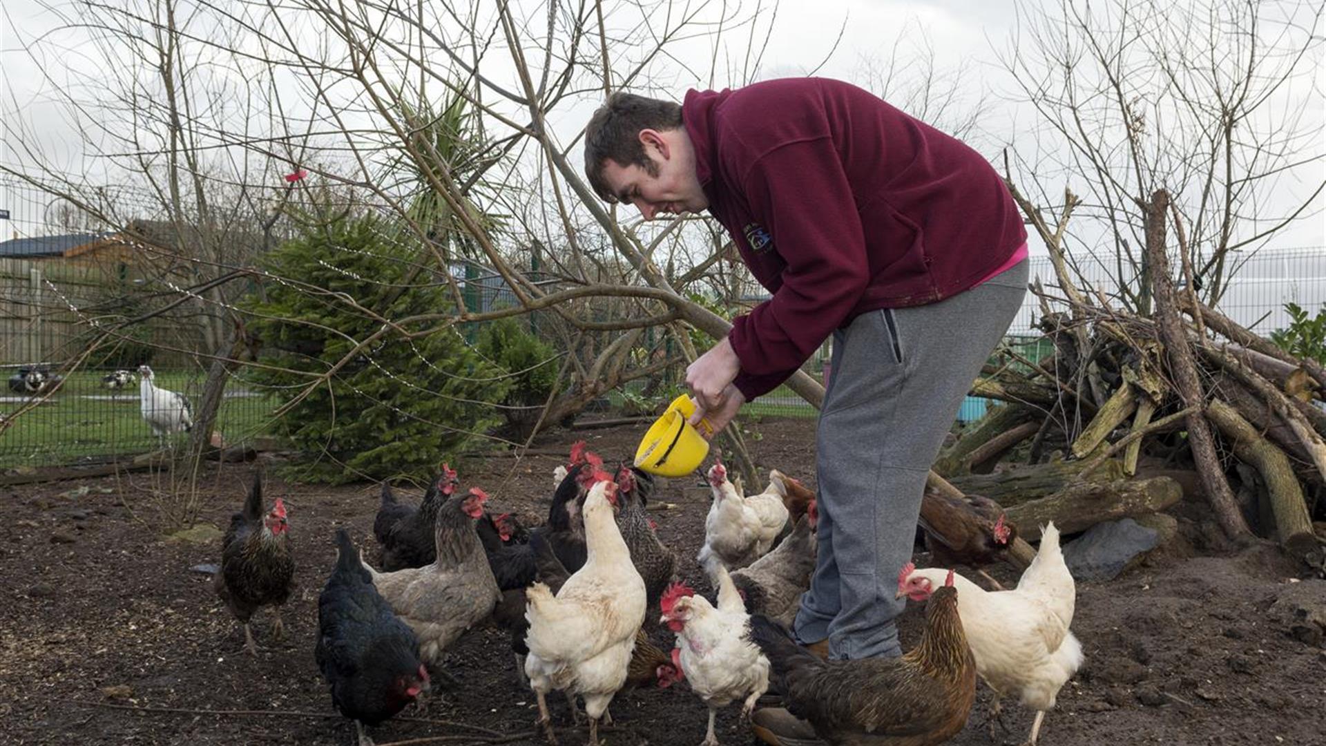 Carrickfergus Urban Farm & Garden Centre