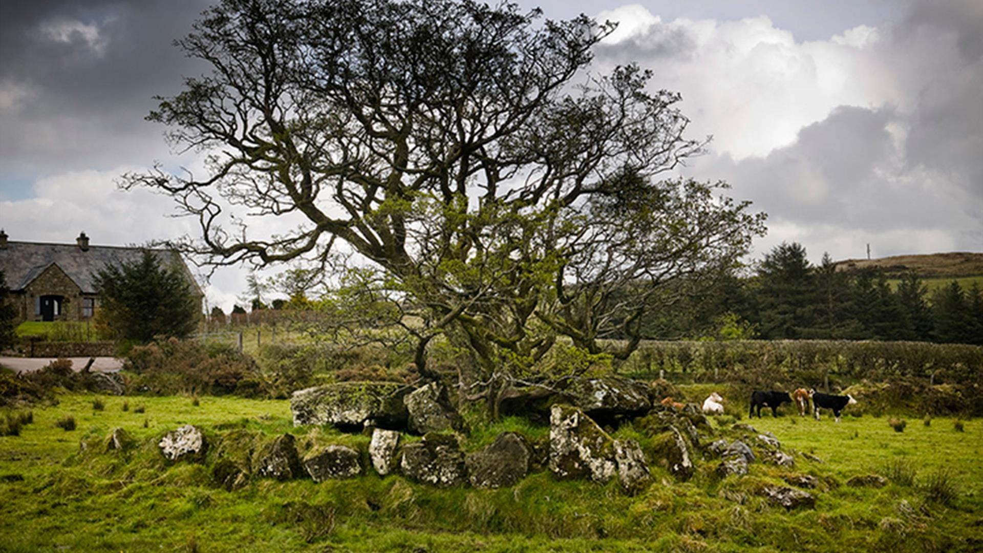 Loughmacrory Wedge Tomb