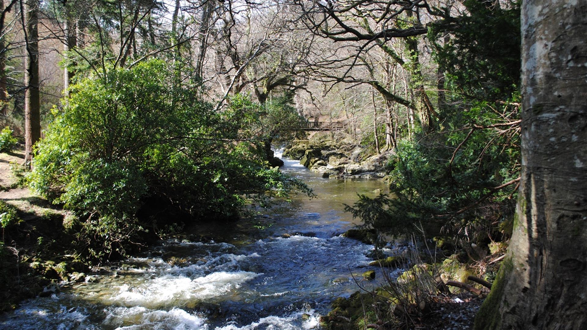 Tollymore Forest Park - River Trail