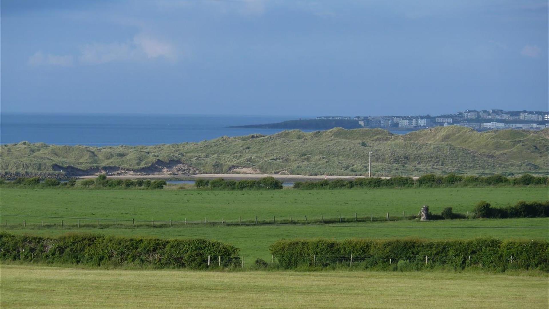 The Haven