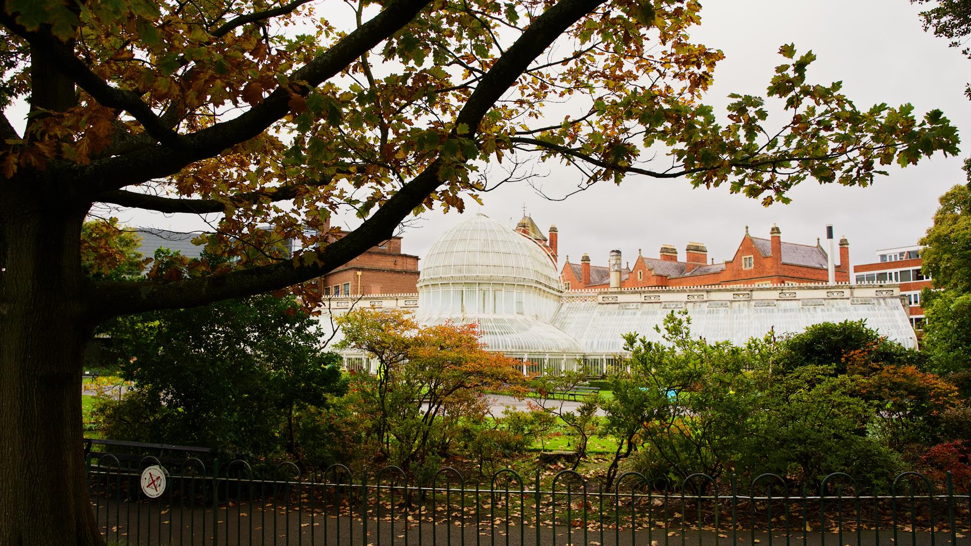 Belfast Botanic Gardens and Palm House