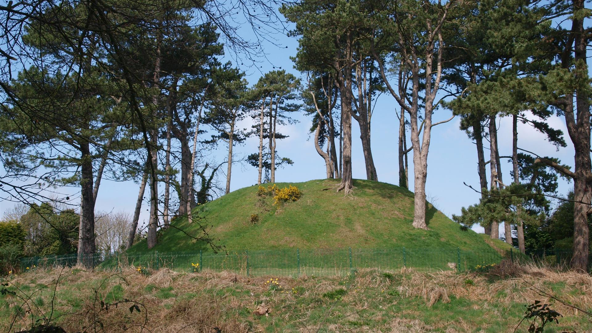 Shandon Park Mound