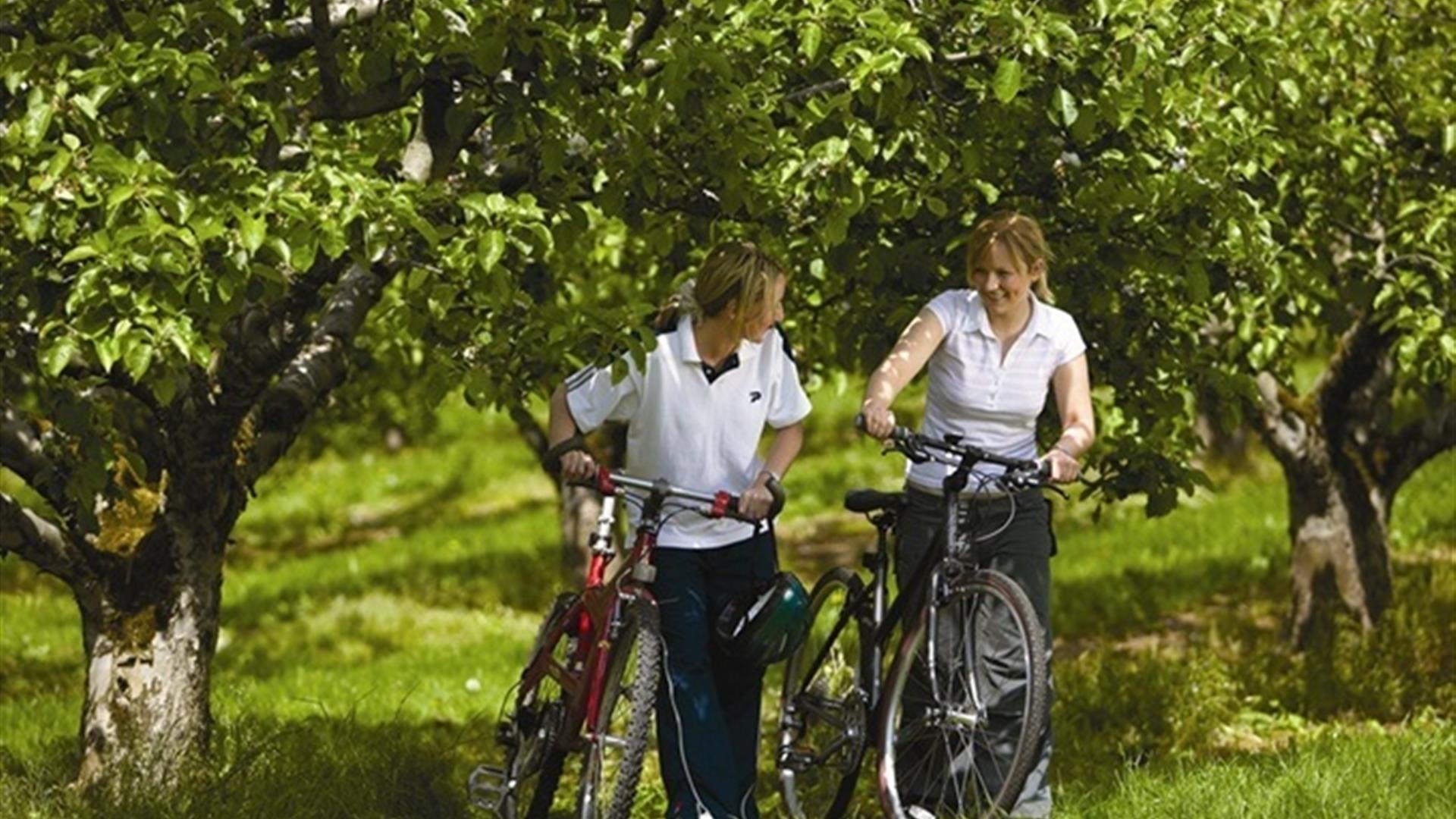 Loughgall Country Park Orchard Path Discover Northern Ireland