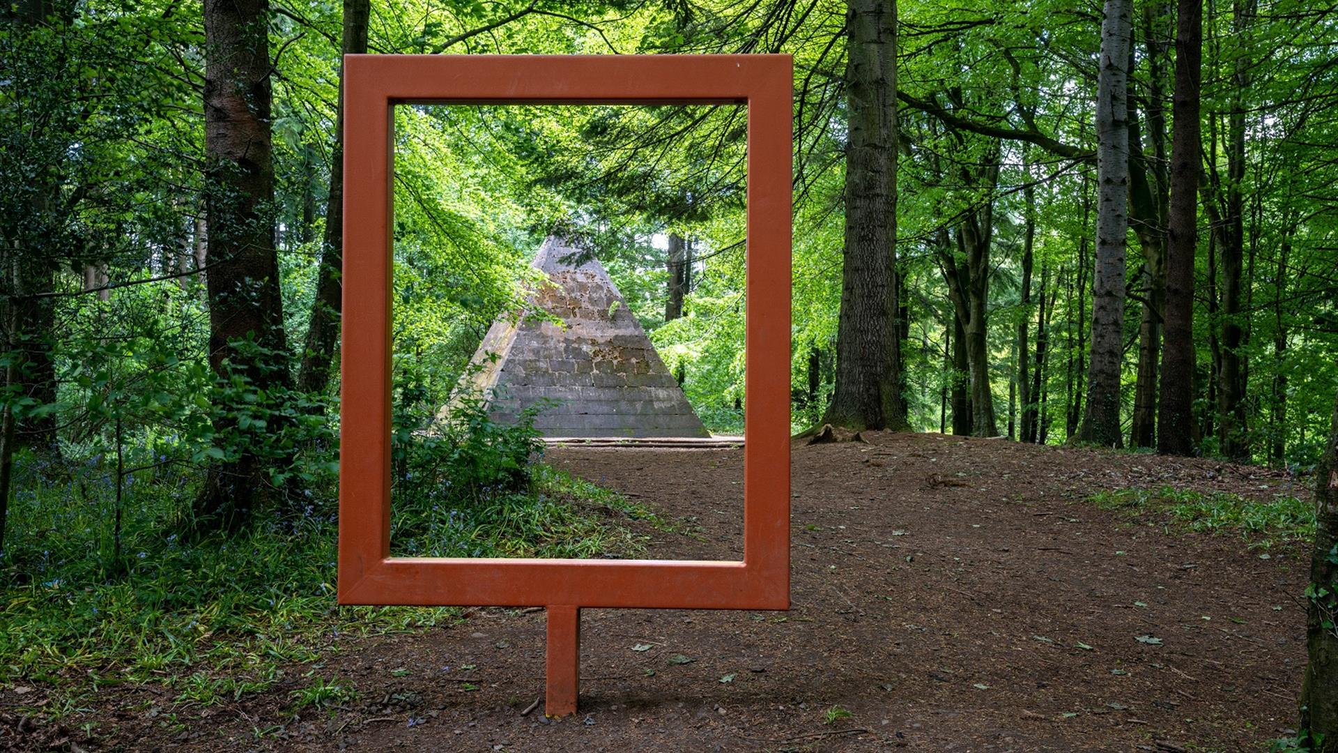 Frame at Garvagh Forest