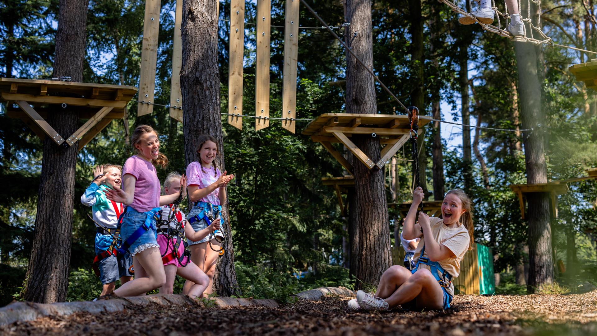 Castlewood Treetop Adventure