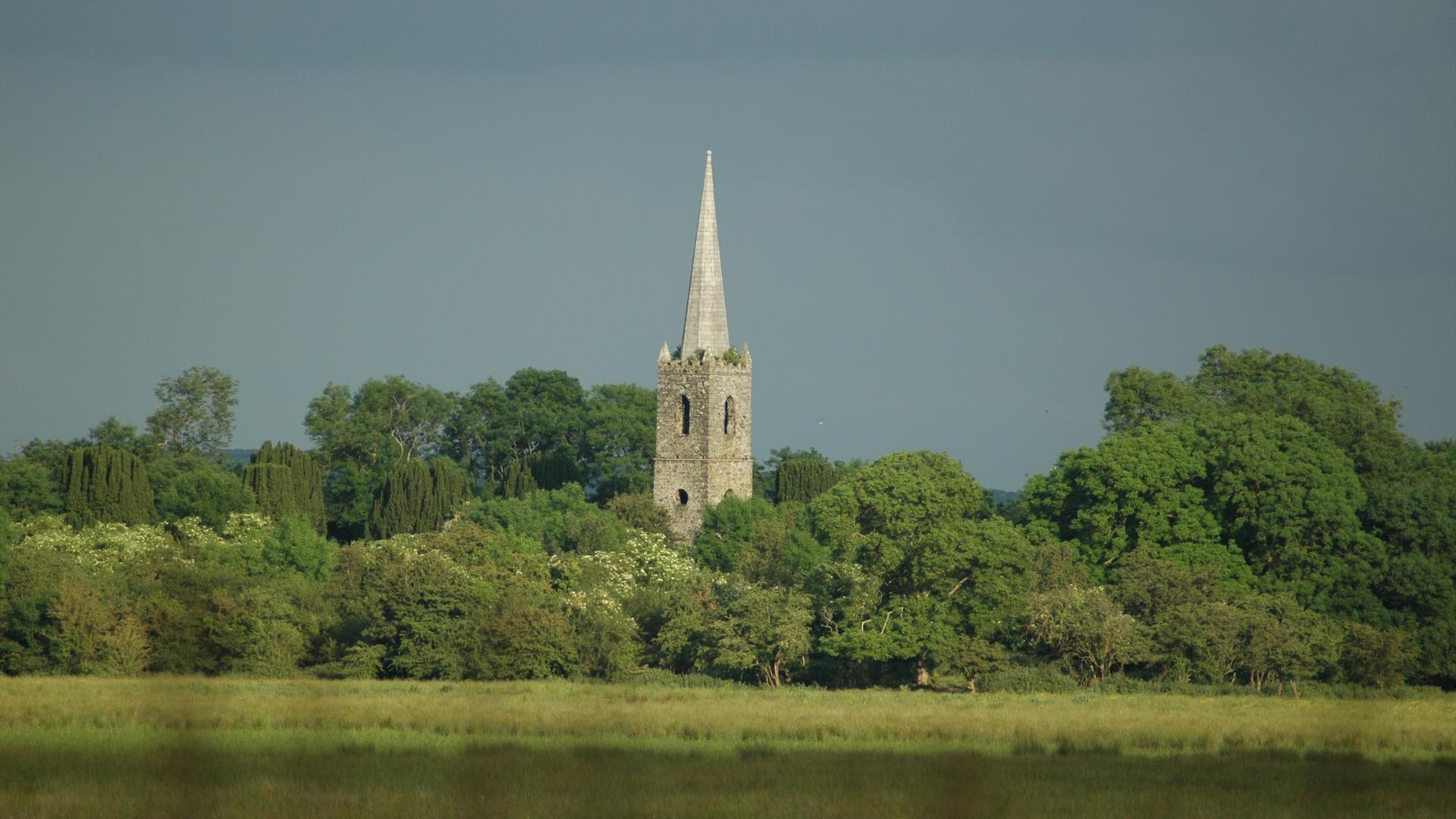 View of Church tower and spire protruding from behind trees in the middle of Church Island with marshy land in front of the trees and Lough Beg in fro