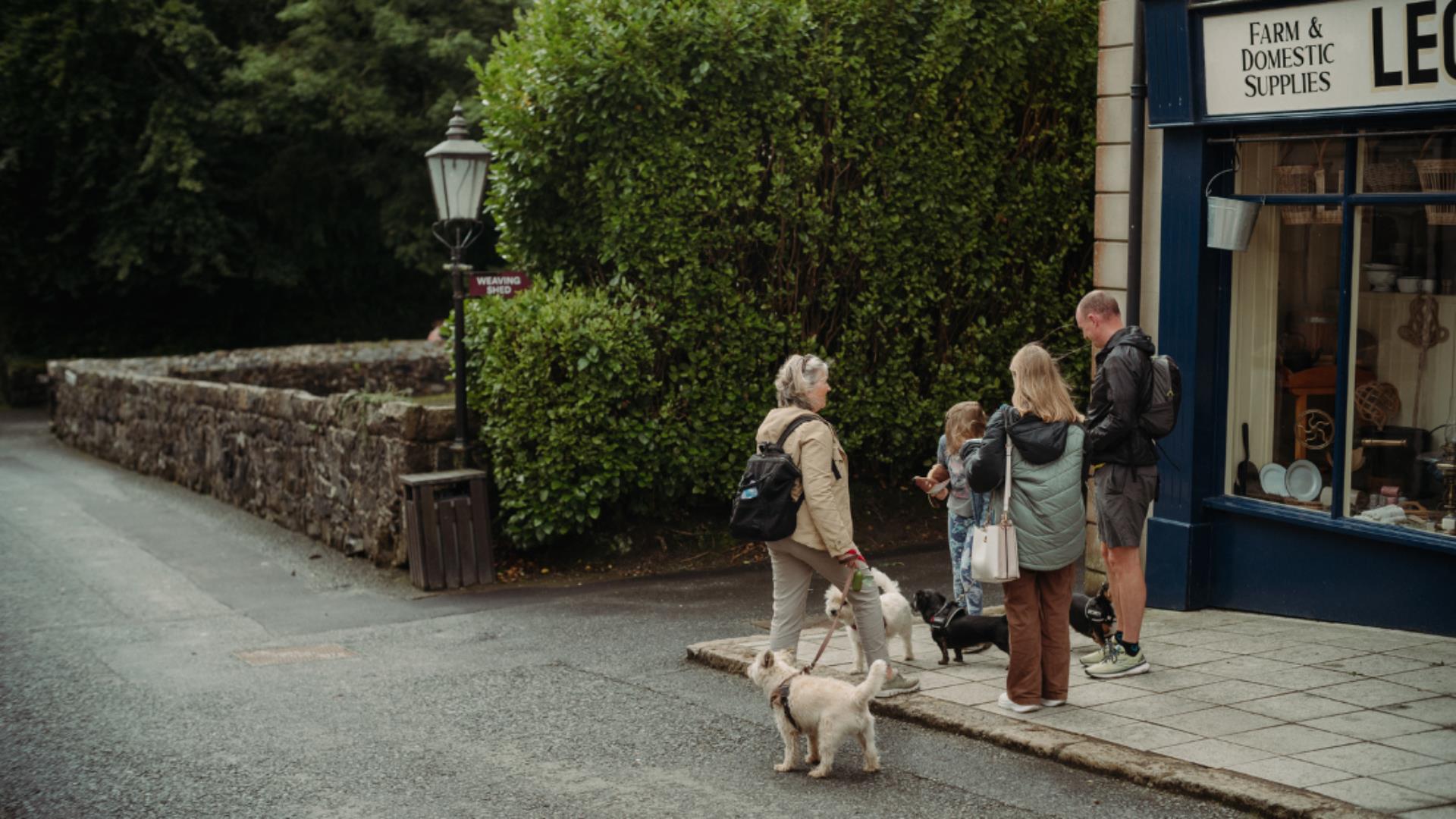 Learn about the use of detection dogs in conservation with CEDaR