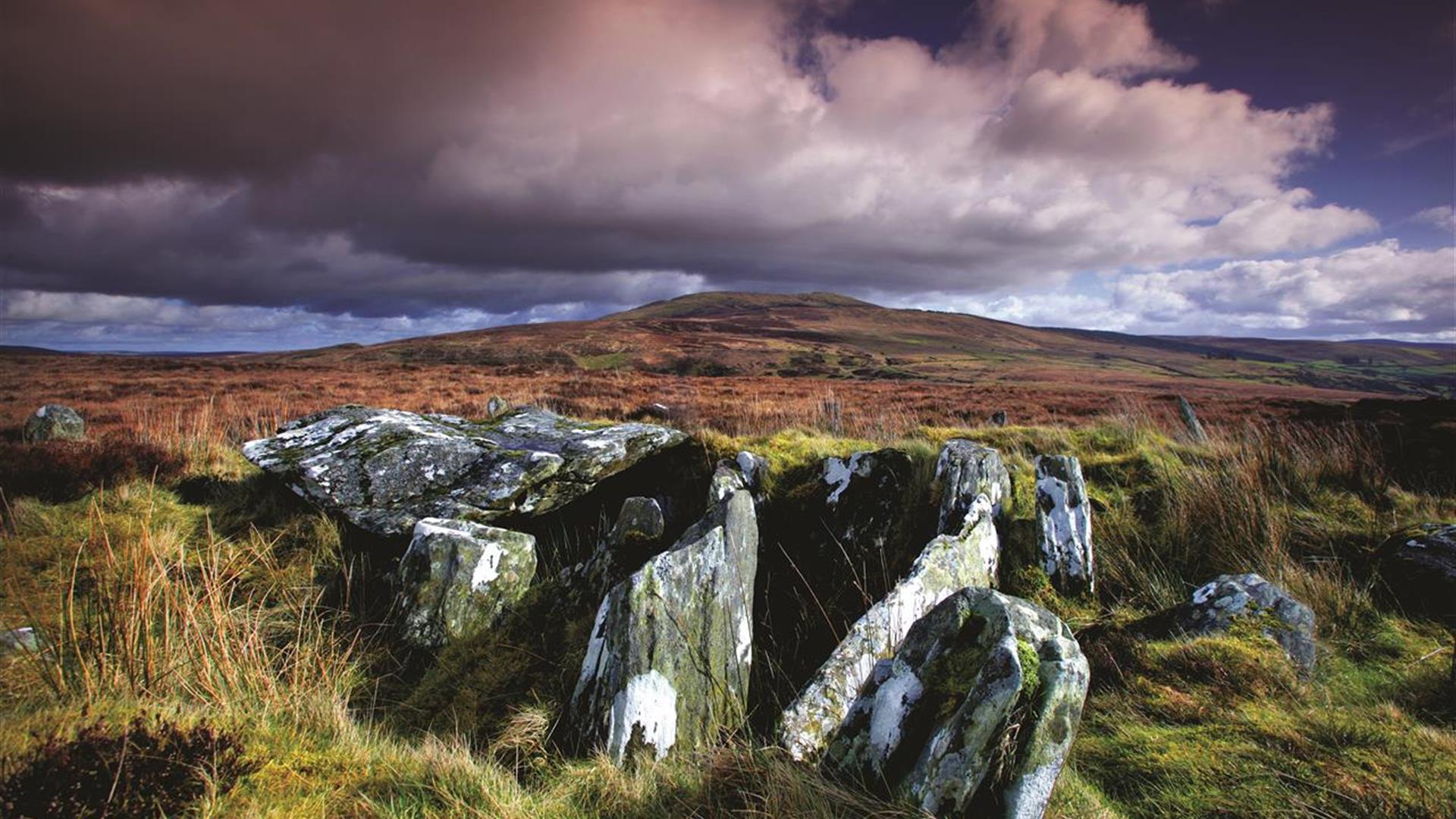 Clogherny Wedge Tomb