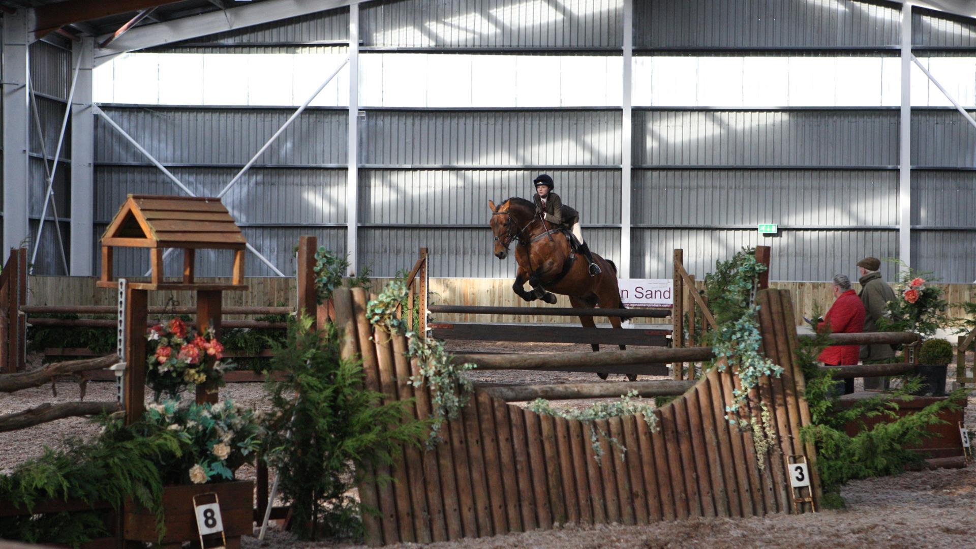 Horse and rider mid-jump