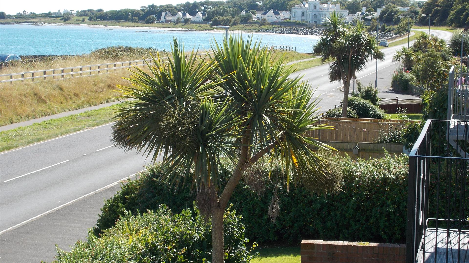 Front garden and roadway