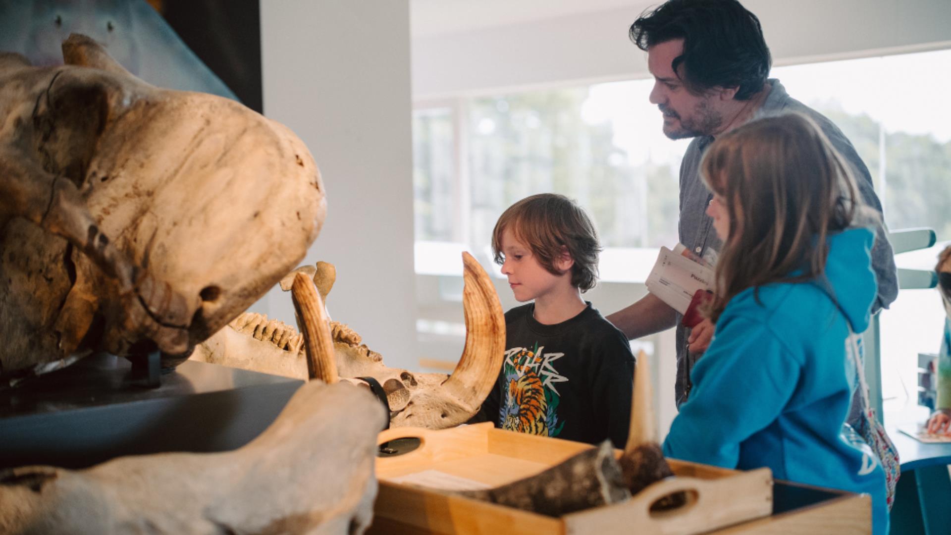 Dig into History at the Ulster Museum