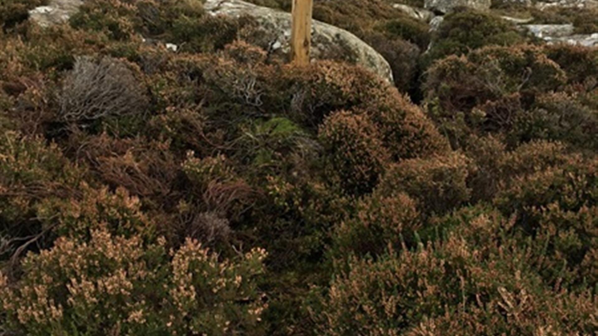 Fairhead Casán an Loch Walk