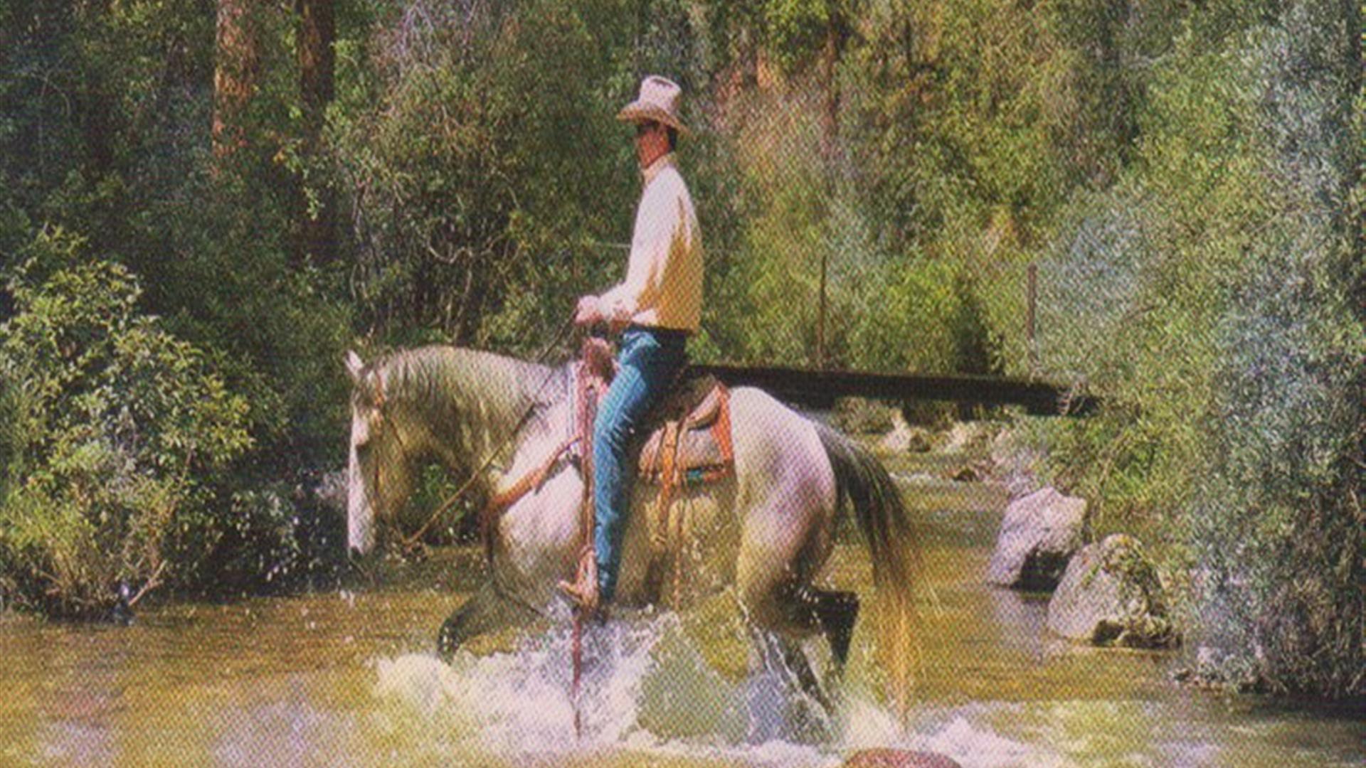 Western Style Horse Riding