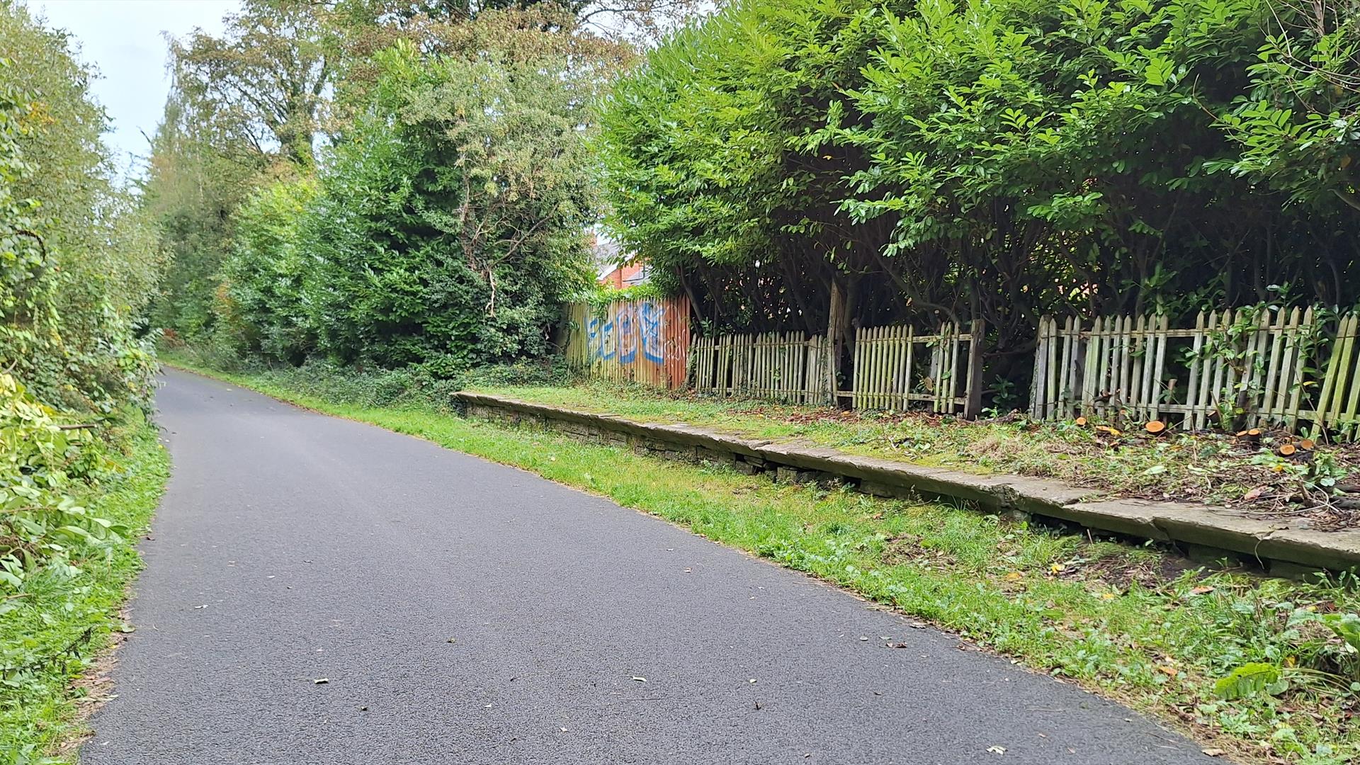 Comber Greenway Walking Tour EHOD 2024