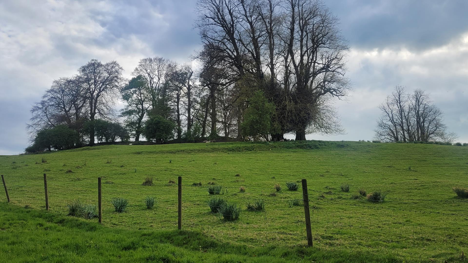 Echoes of the Ancients: A Tour of Clogher Hillfort EHOD 2025