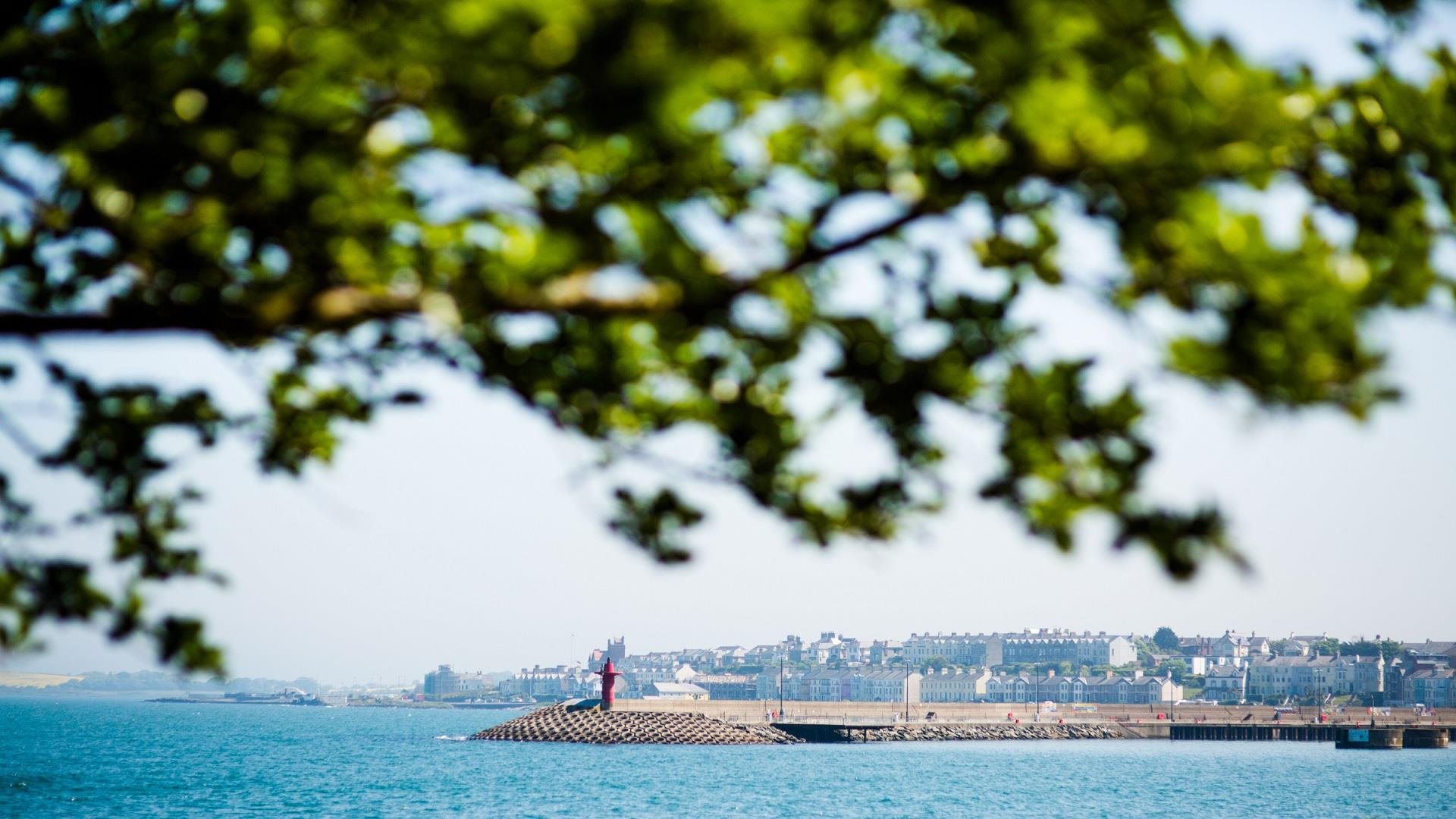 A photo from a distance showing Eisenhower Pier on a sunny day, framed by a leafy tree branch