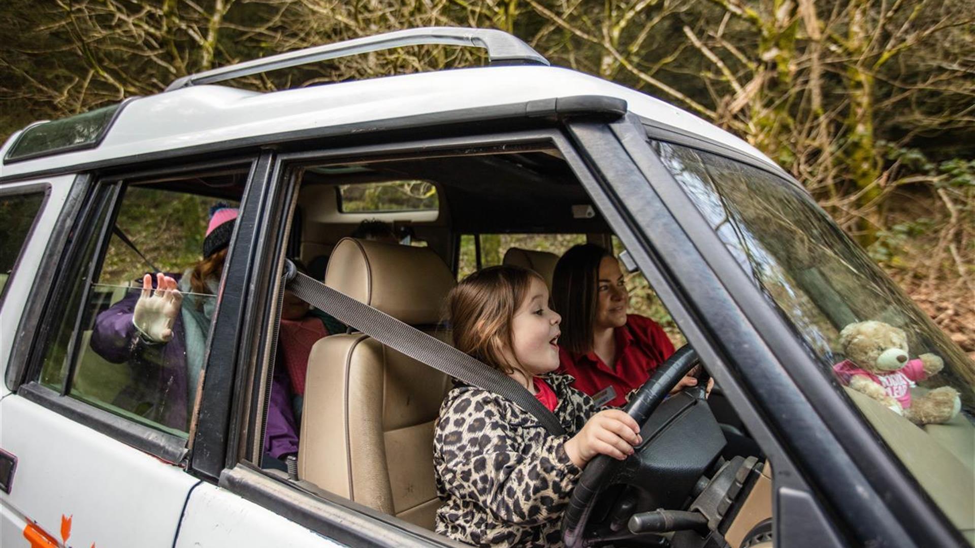 todds-leap-activity-centre-ballygawley-discover-northern-ireland