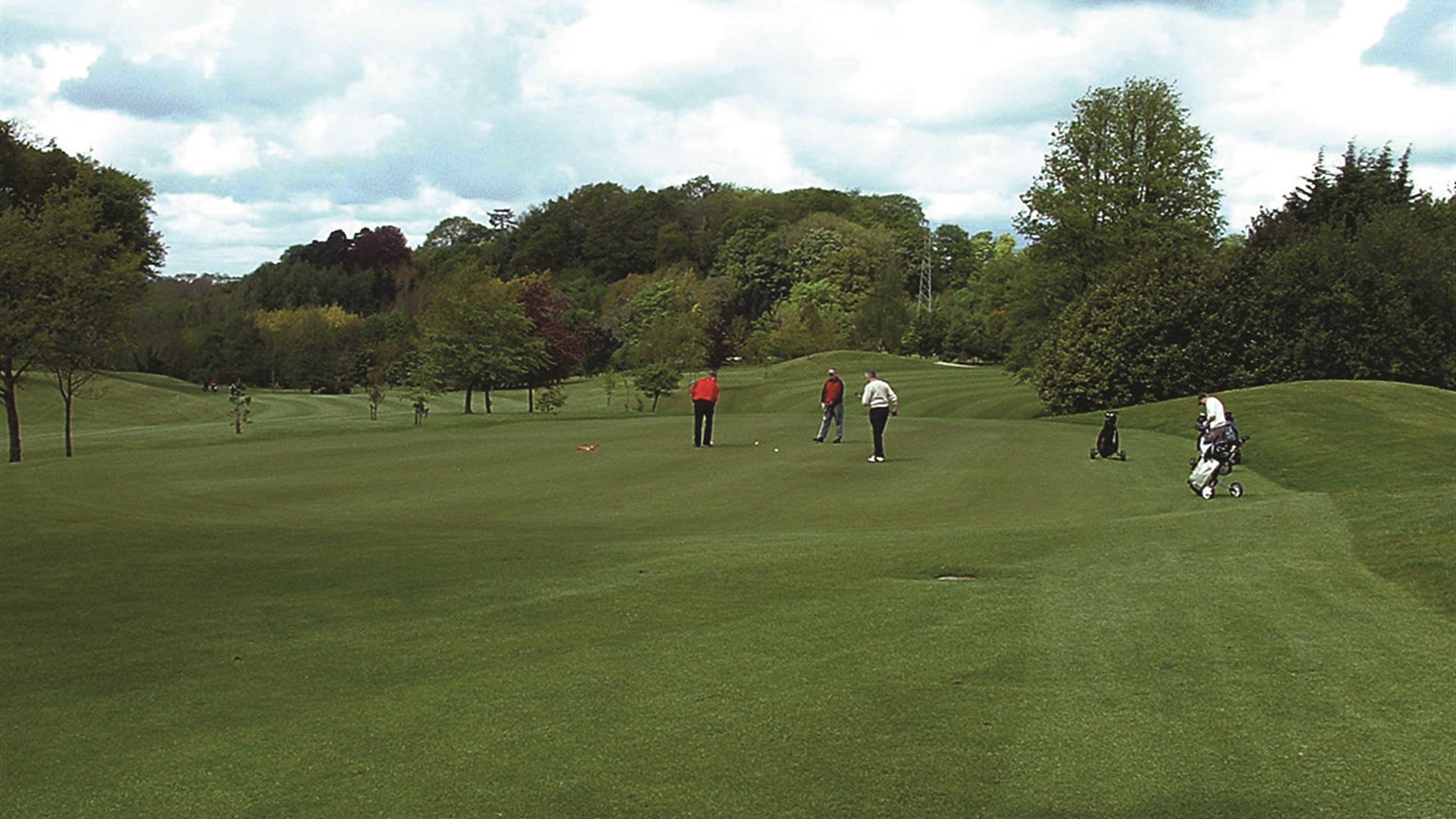 Dunmurry Golf Club