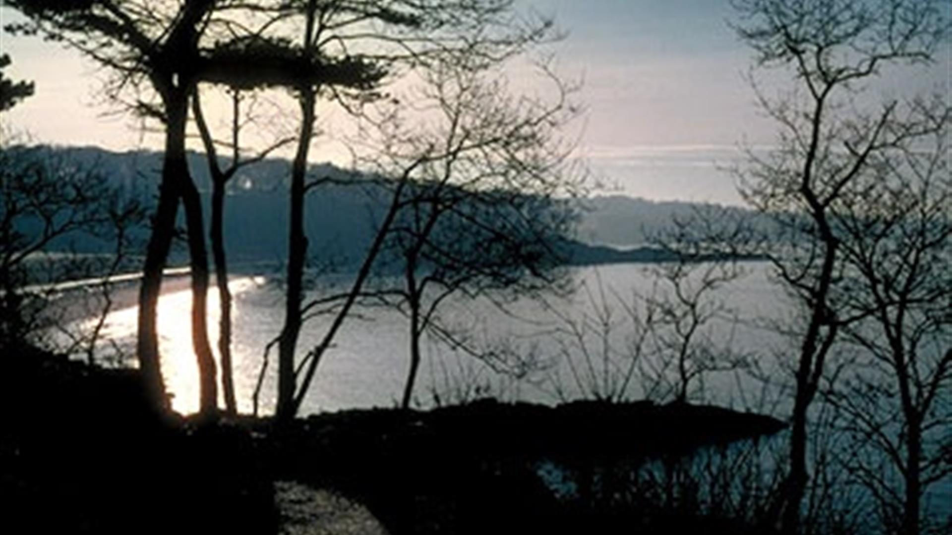 Crawfordsburn Country Park, Coastal Walk