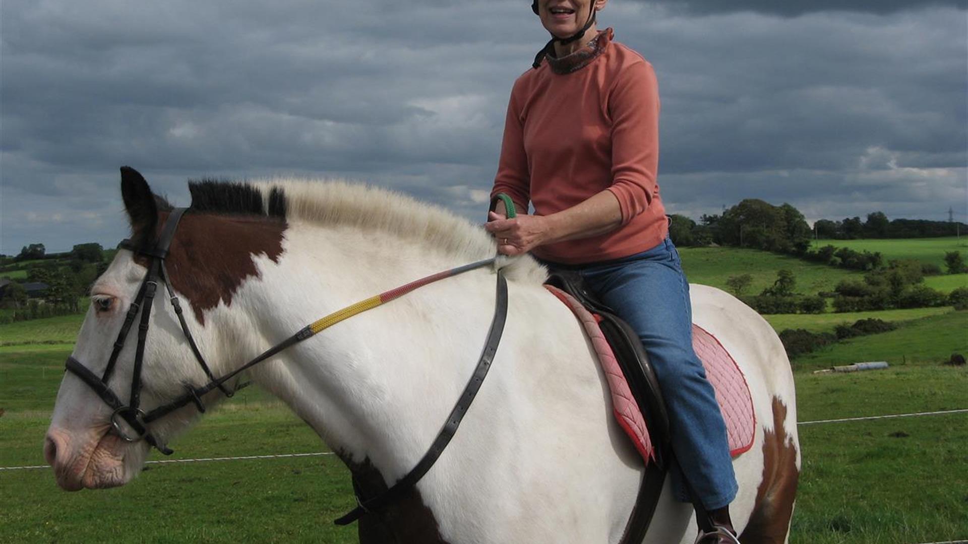 Laurel View Equestrian Centre Ballyclare Discover Northern Ireland