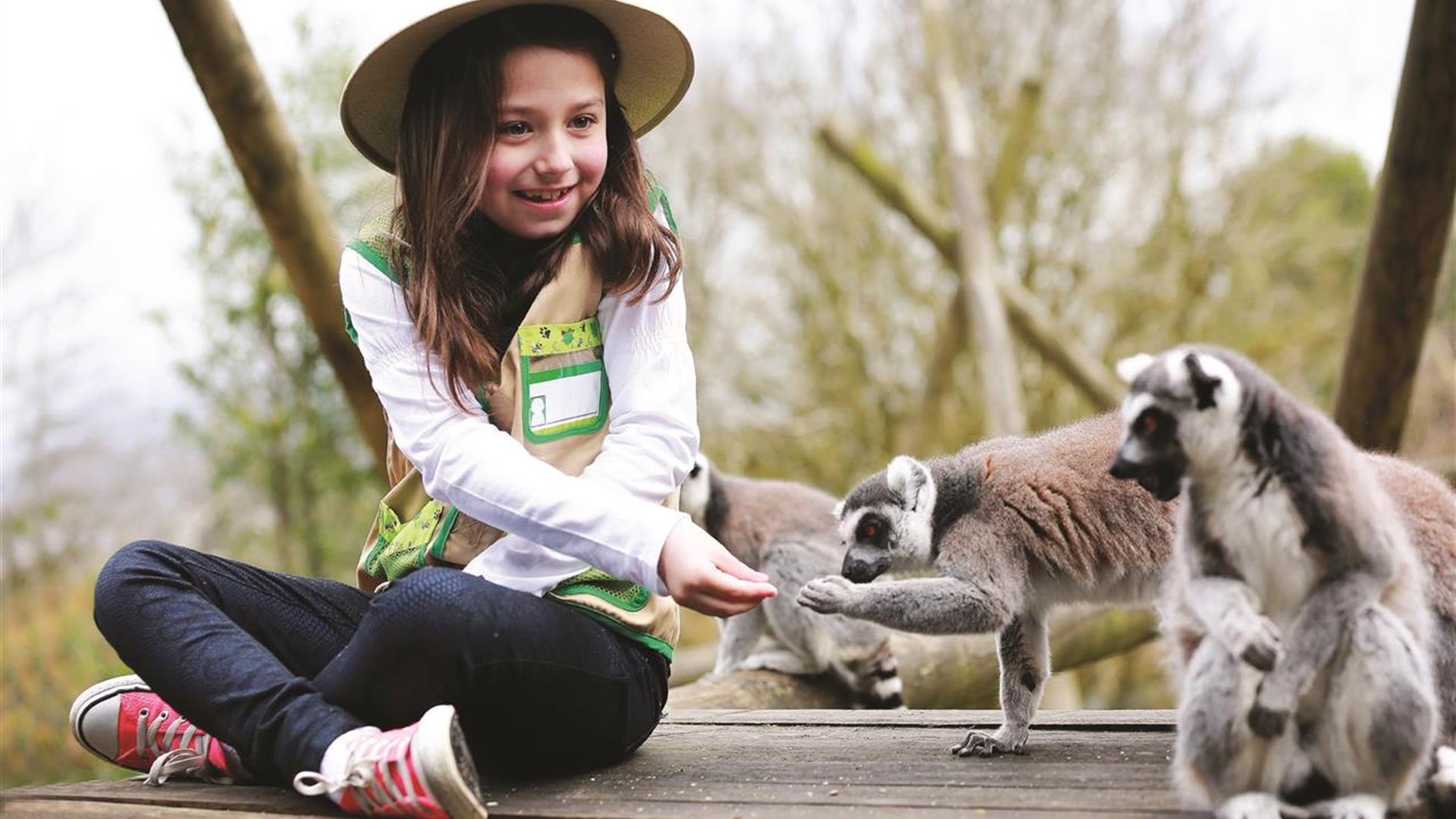 Belfast Zoo Belfast Discover Northern Ireland