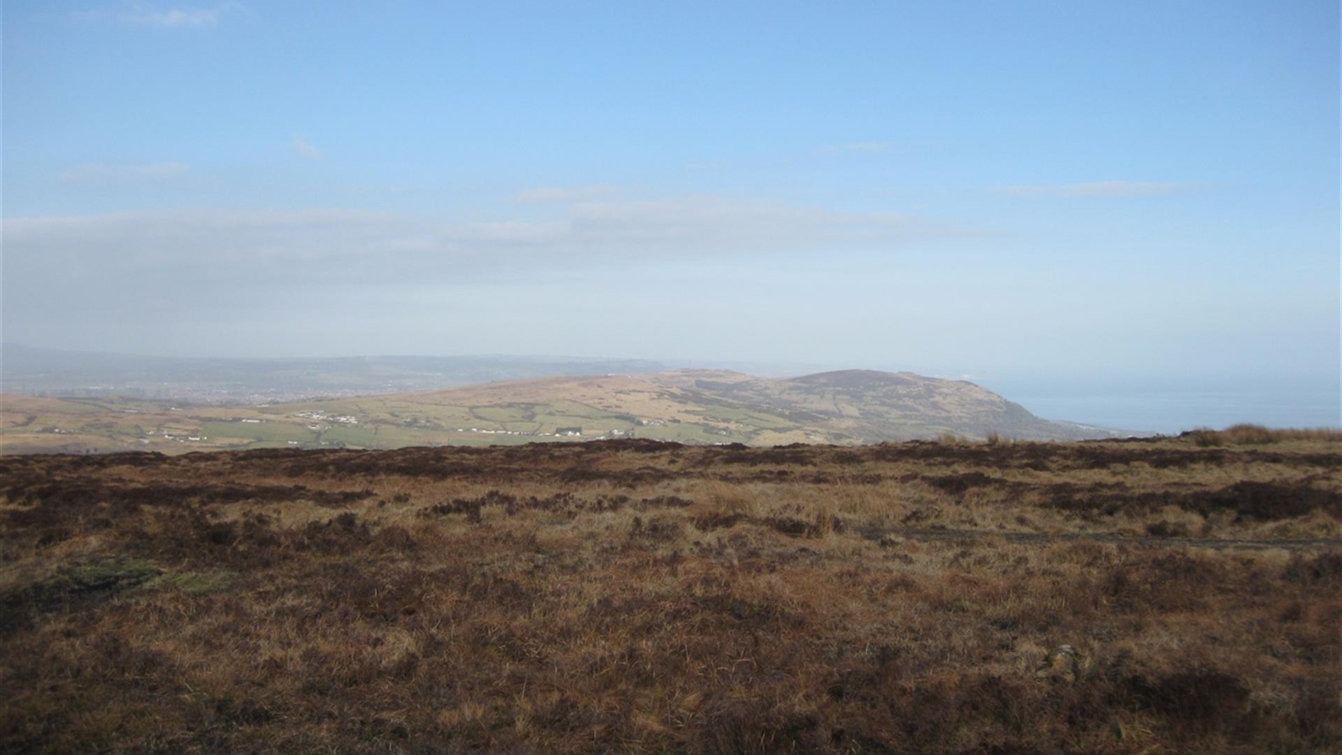 Divis Heath Trail