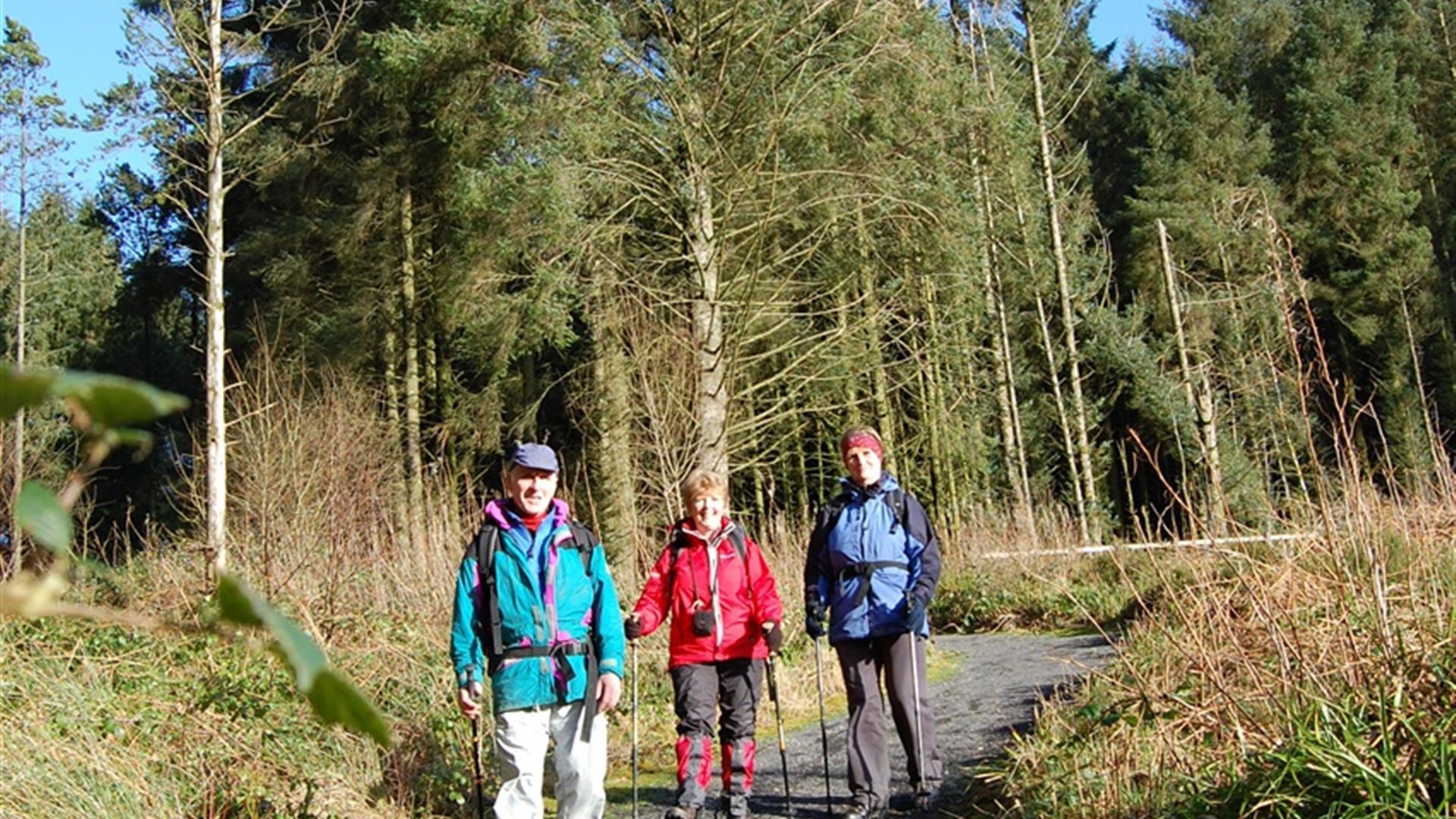 Gortin Forest Ladies View