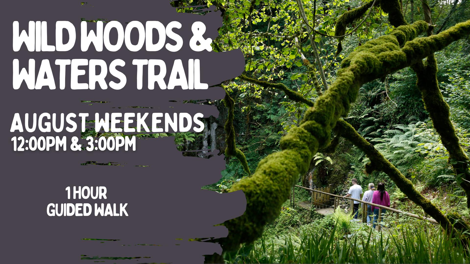 Events at Marble Arch Caves