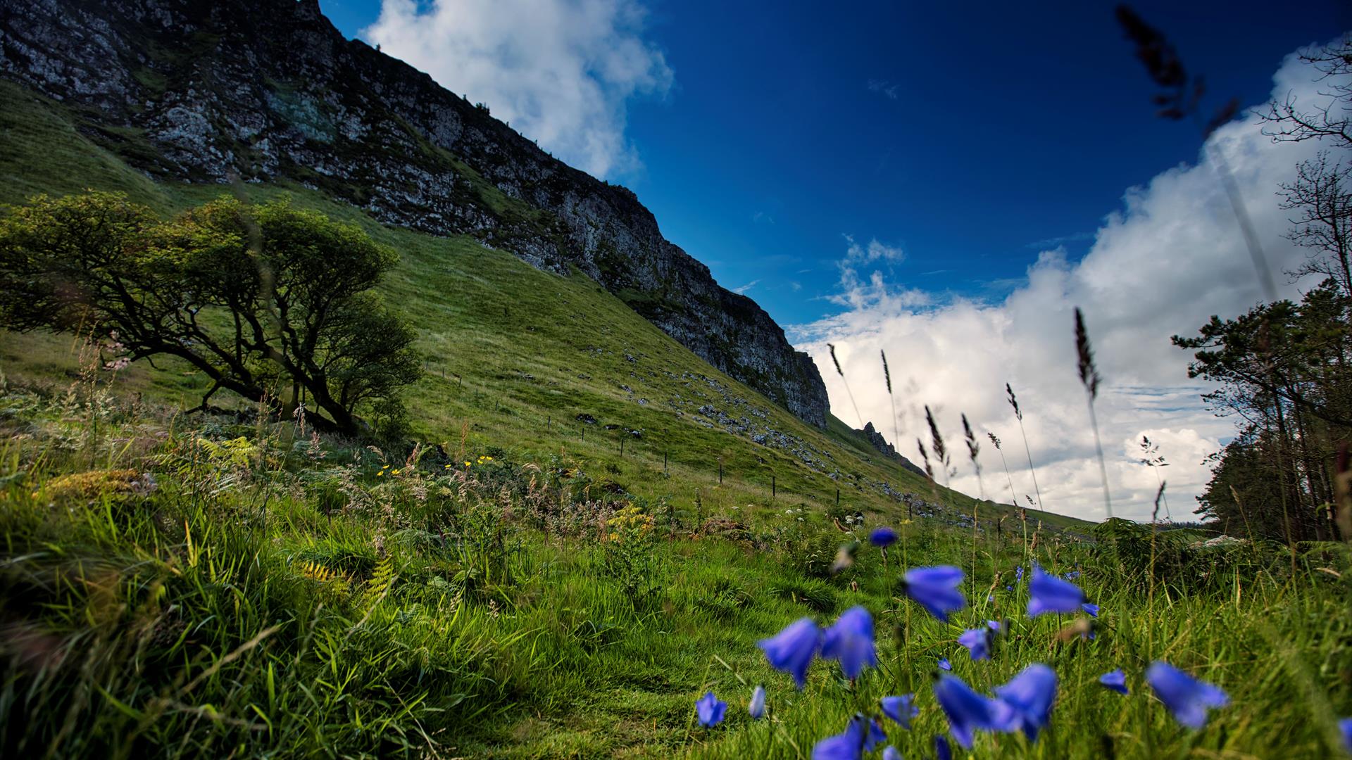 Binevenagh Nature Reserve